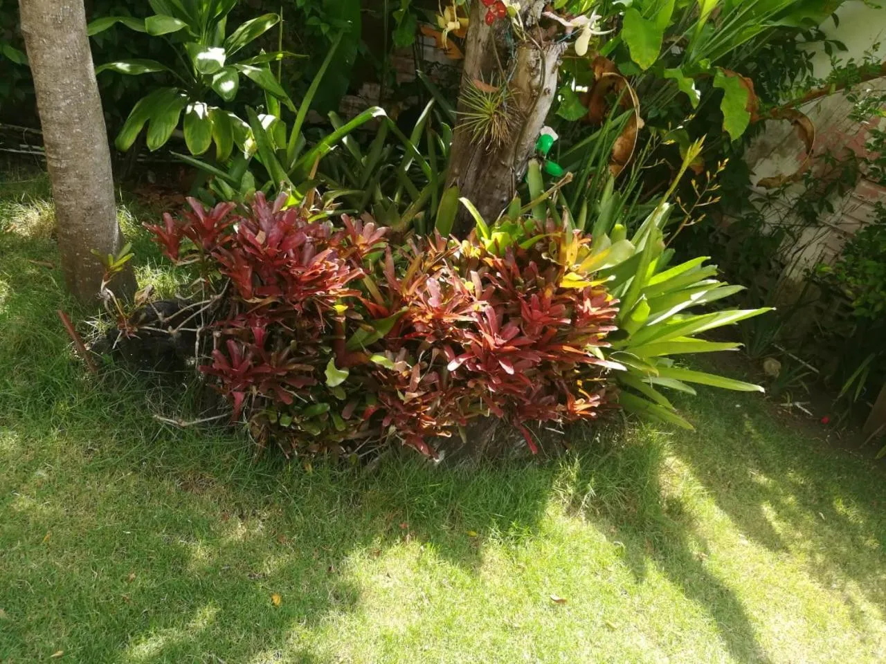 Villa Carolina Bed and Breakfast