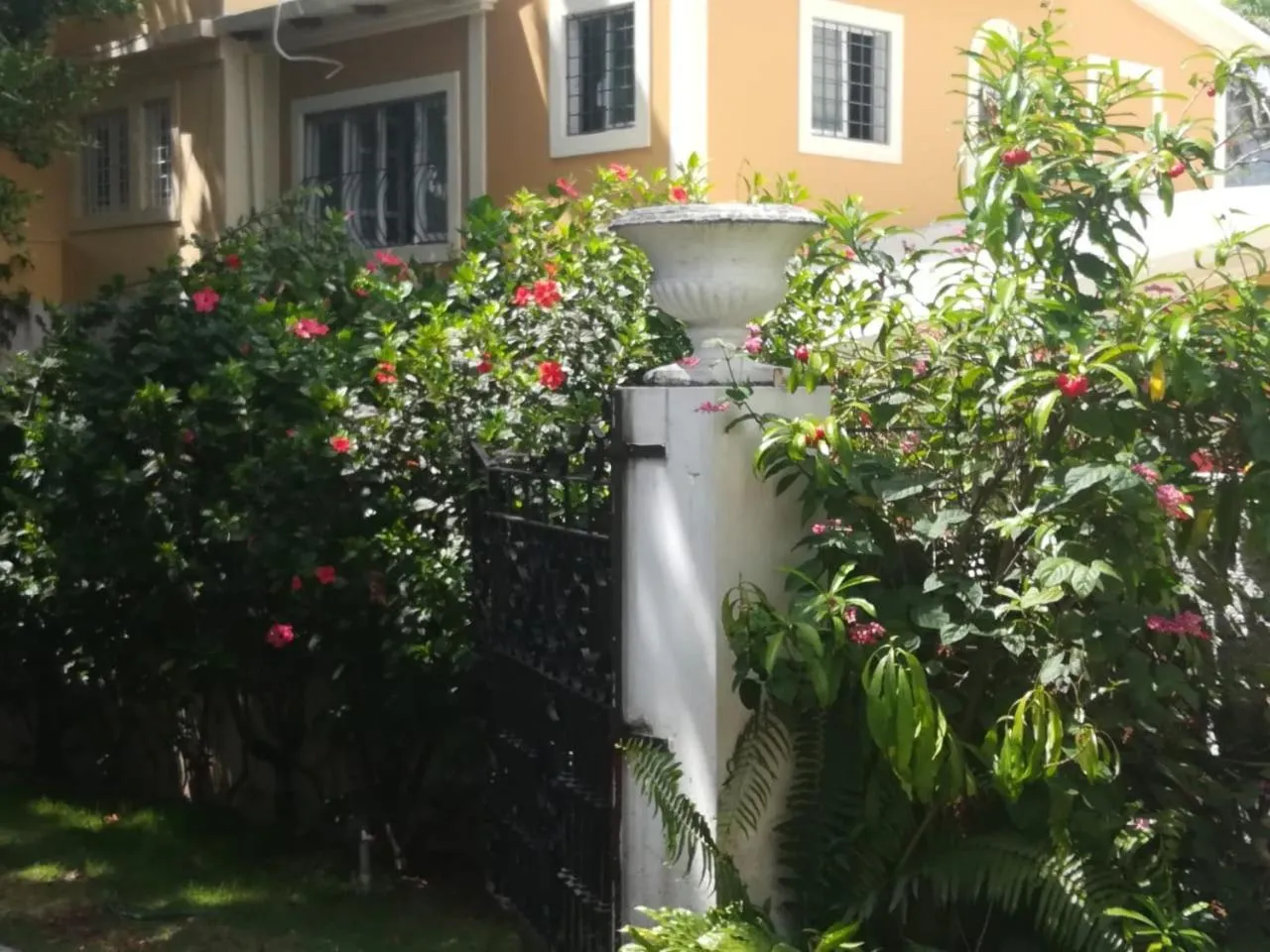 Villa Carolina Bed and Breakfast