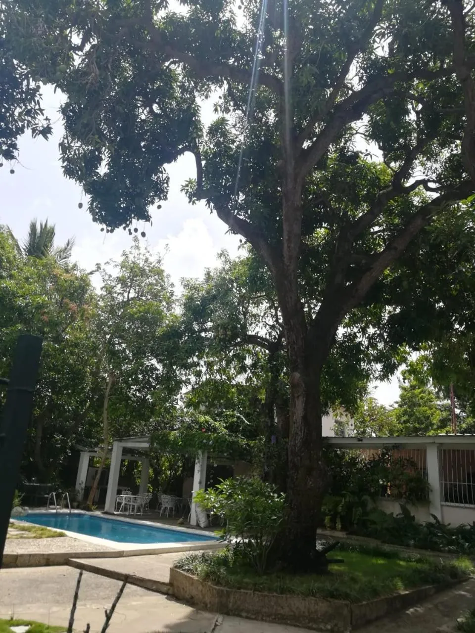 Villa Carolina Bed and Breakfast