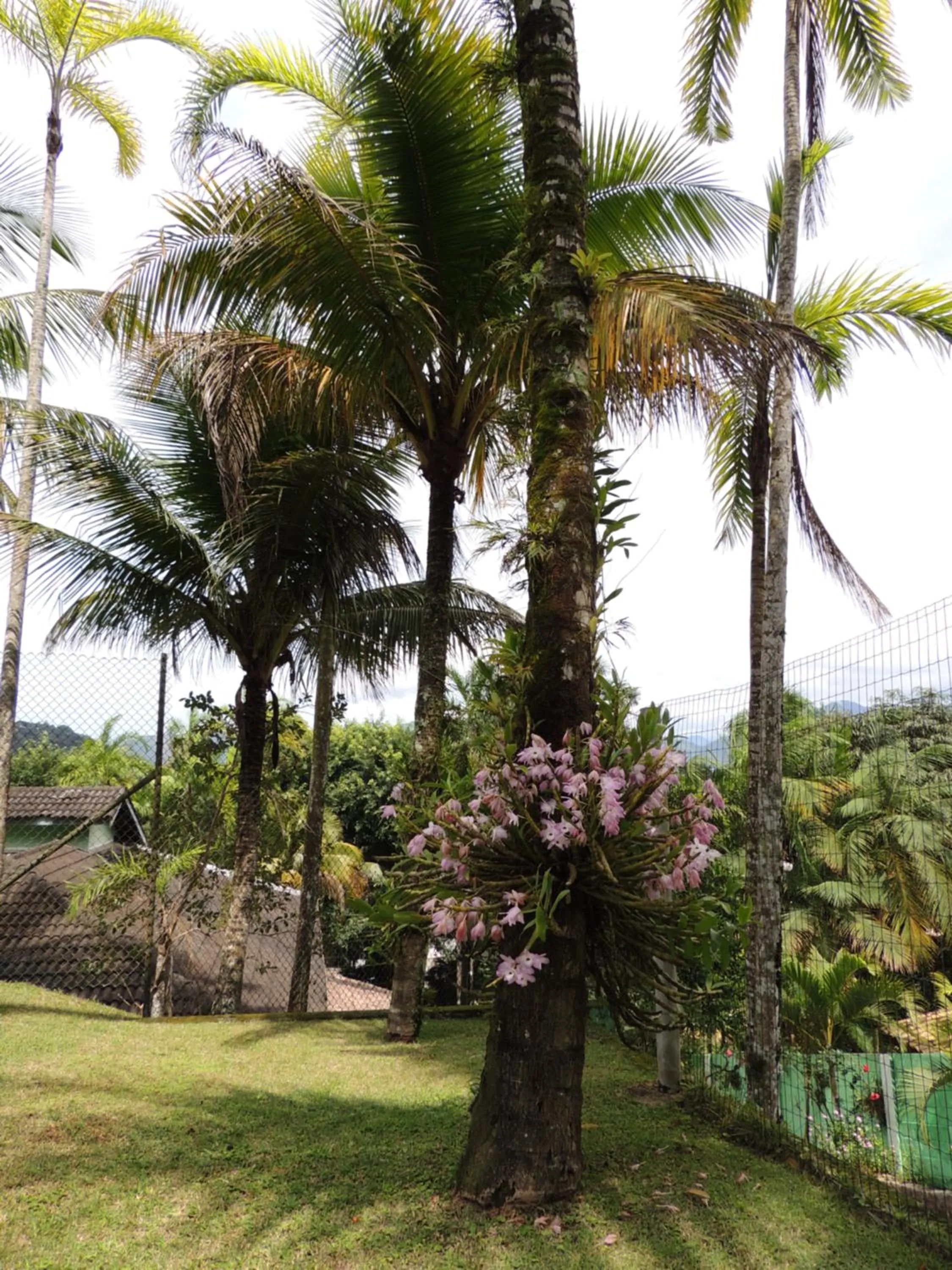 Garden in Marencanto Pousada