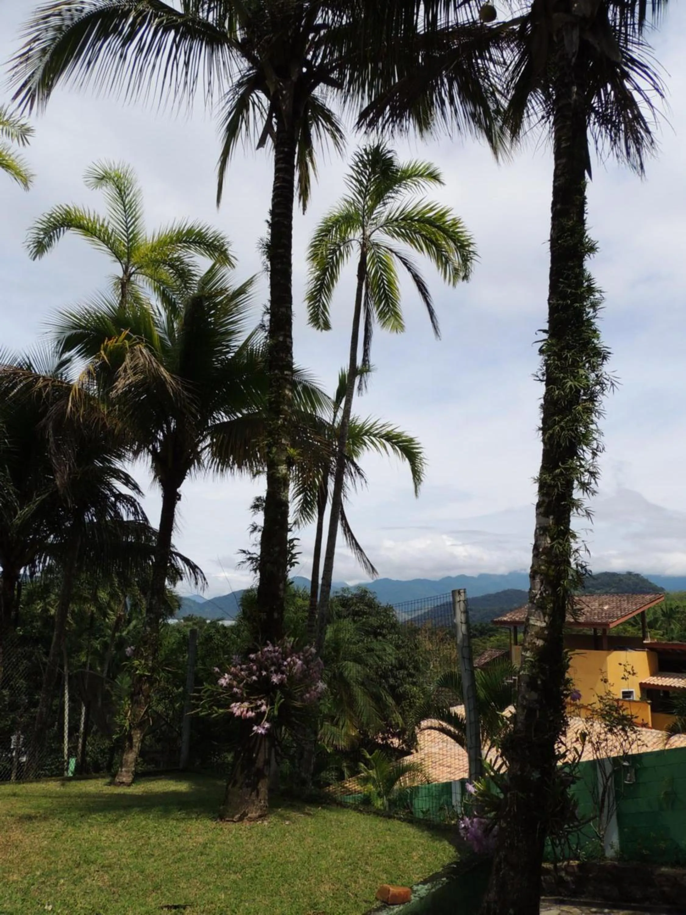 Garden in Marencanto Pousada