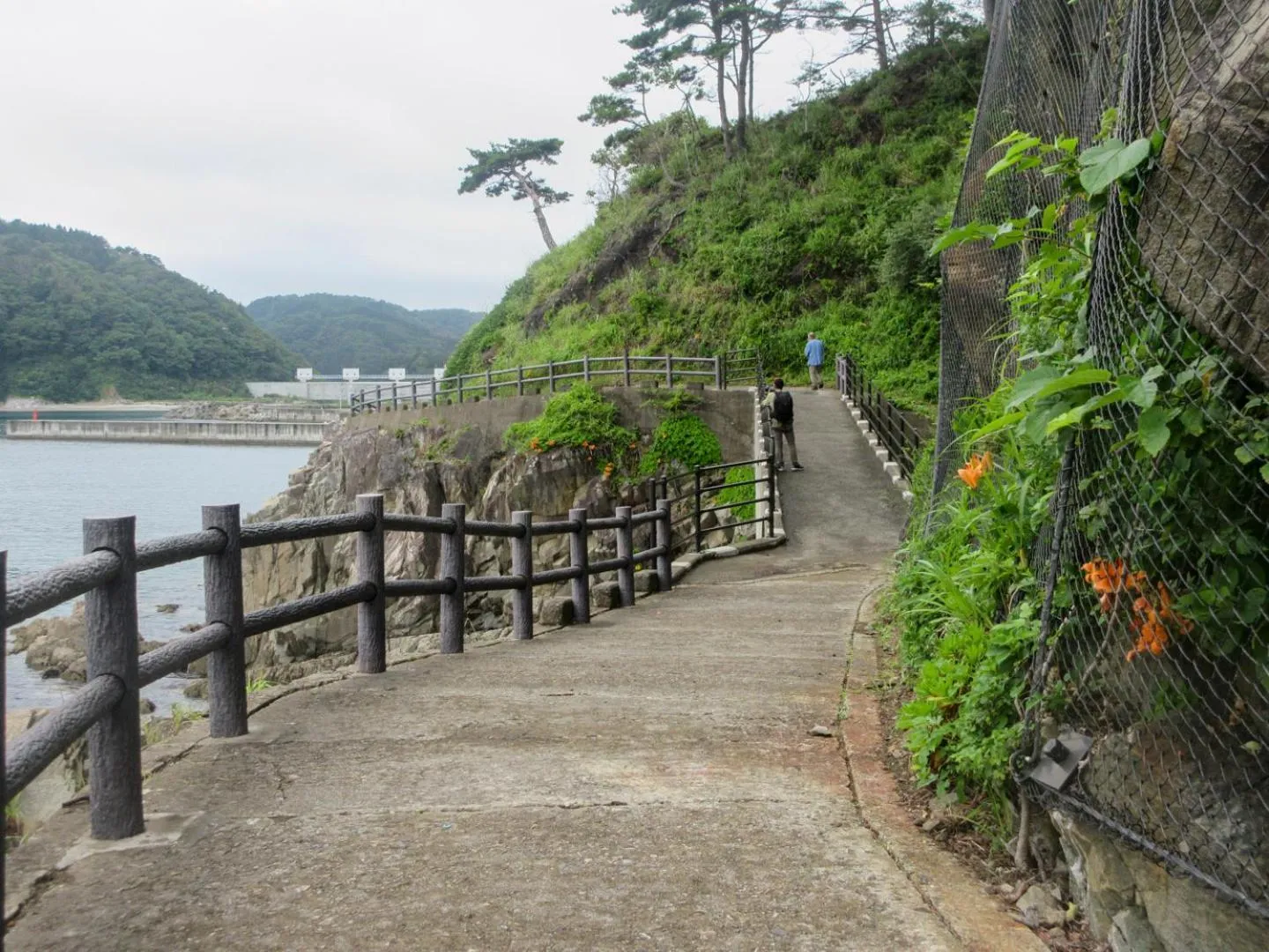 Natural landscape in Nagisatei Taroan