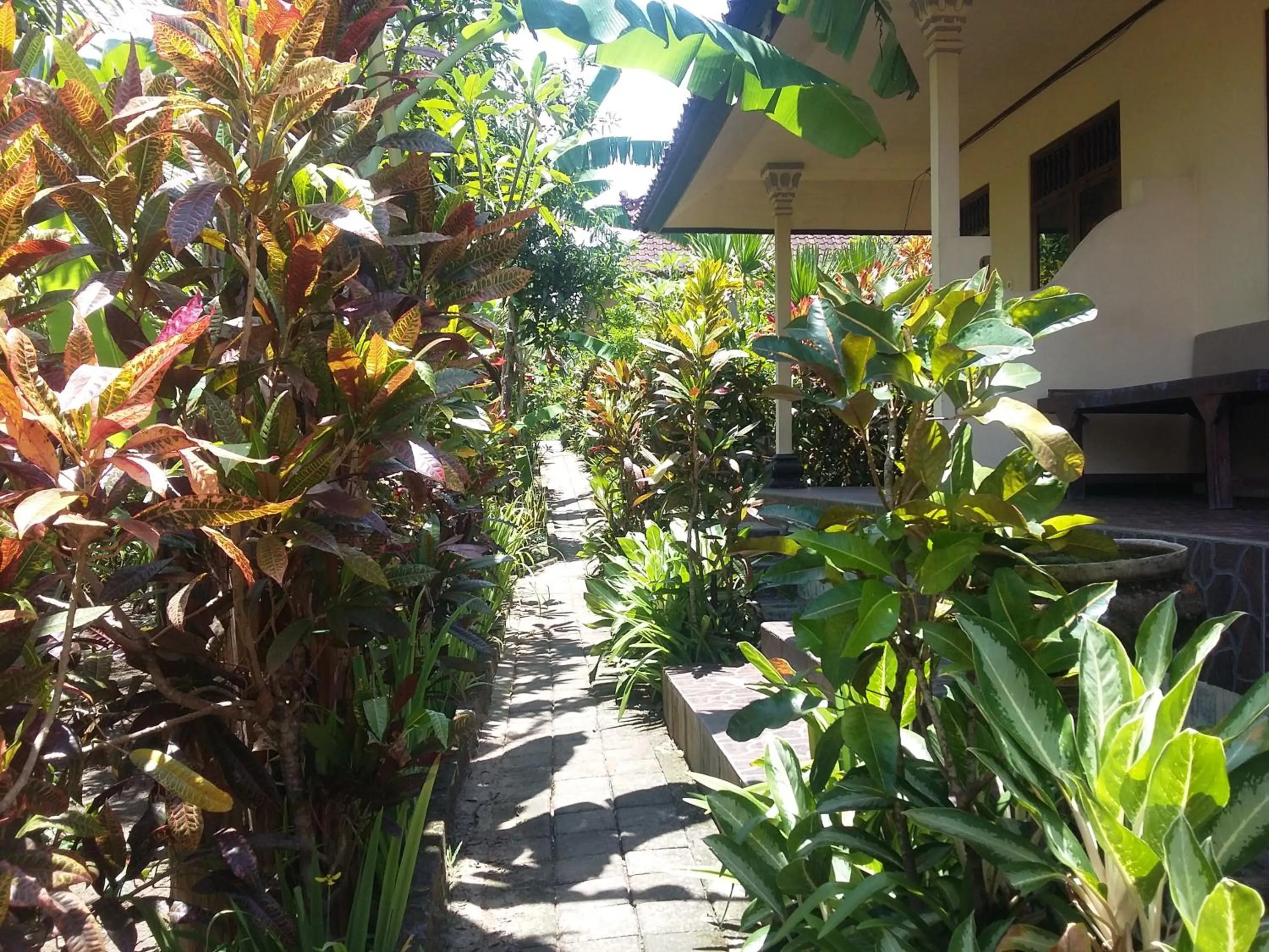 Garden in Surya Homestay