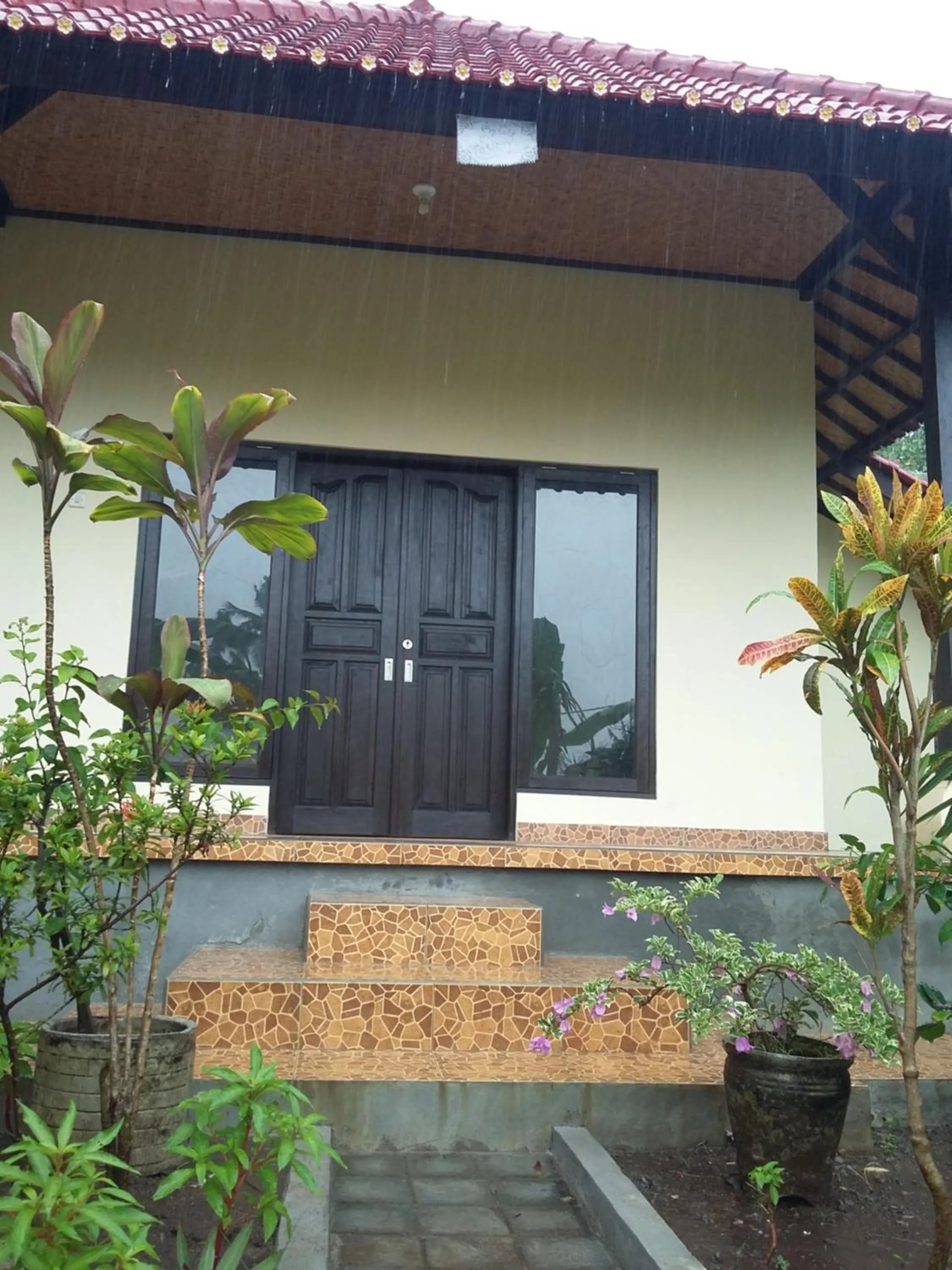 Patio in Surya Homestay