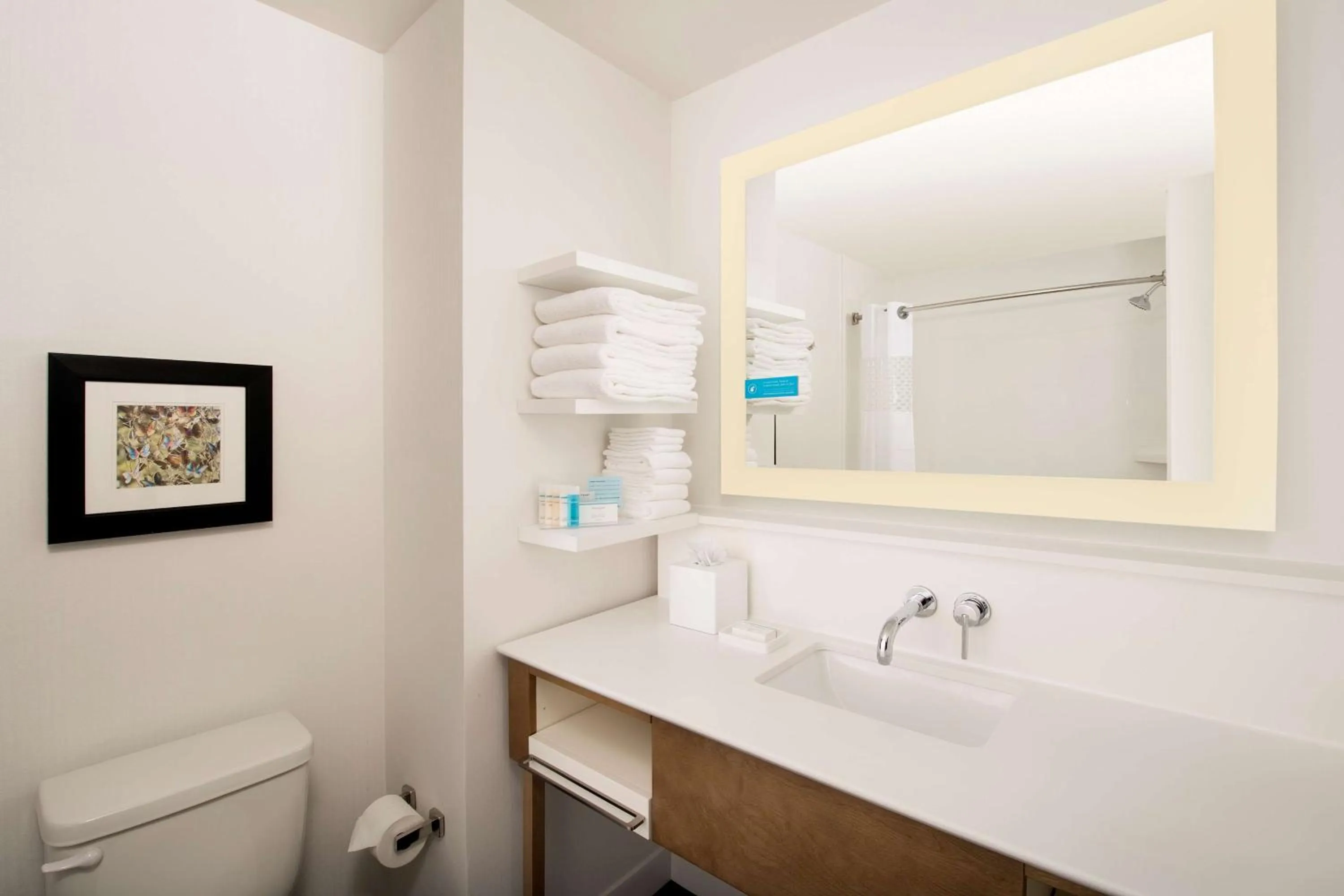 Bathroom in Hampton Inn Wilmington Downtown