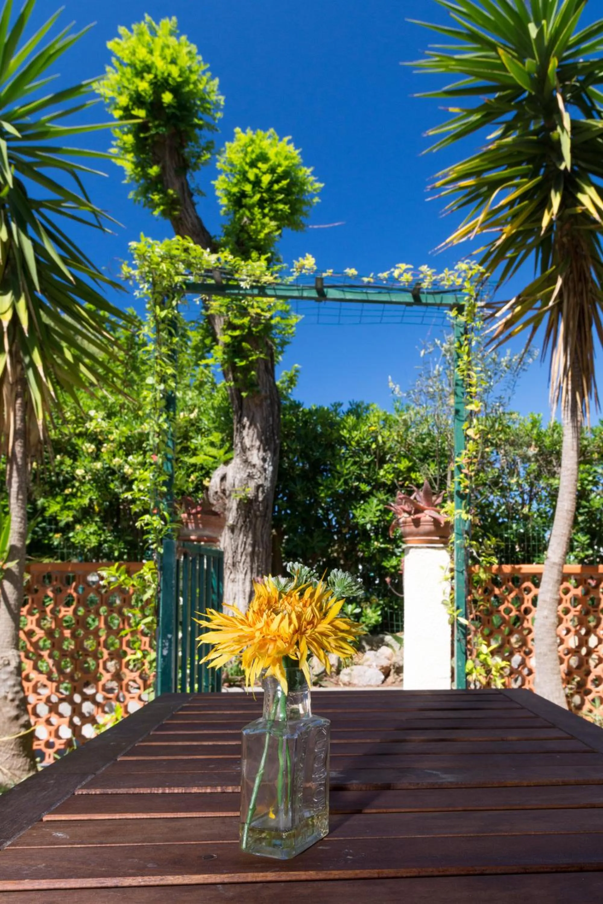 Garden view in Le Surplage