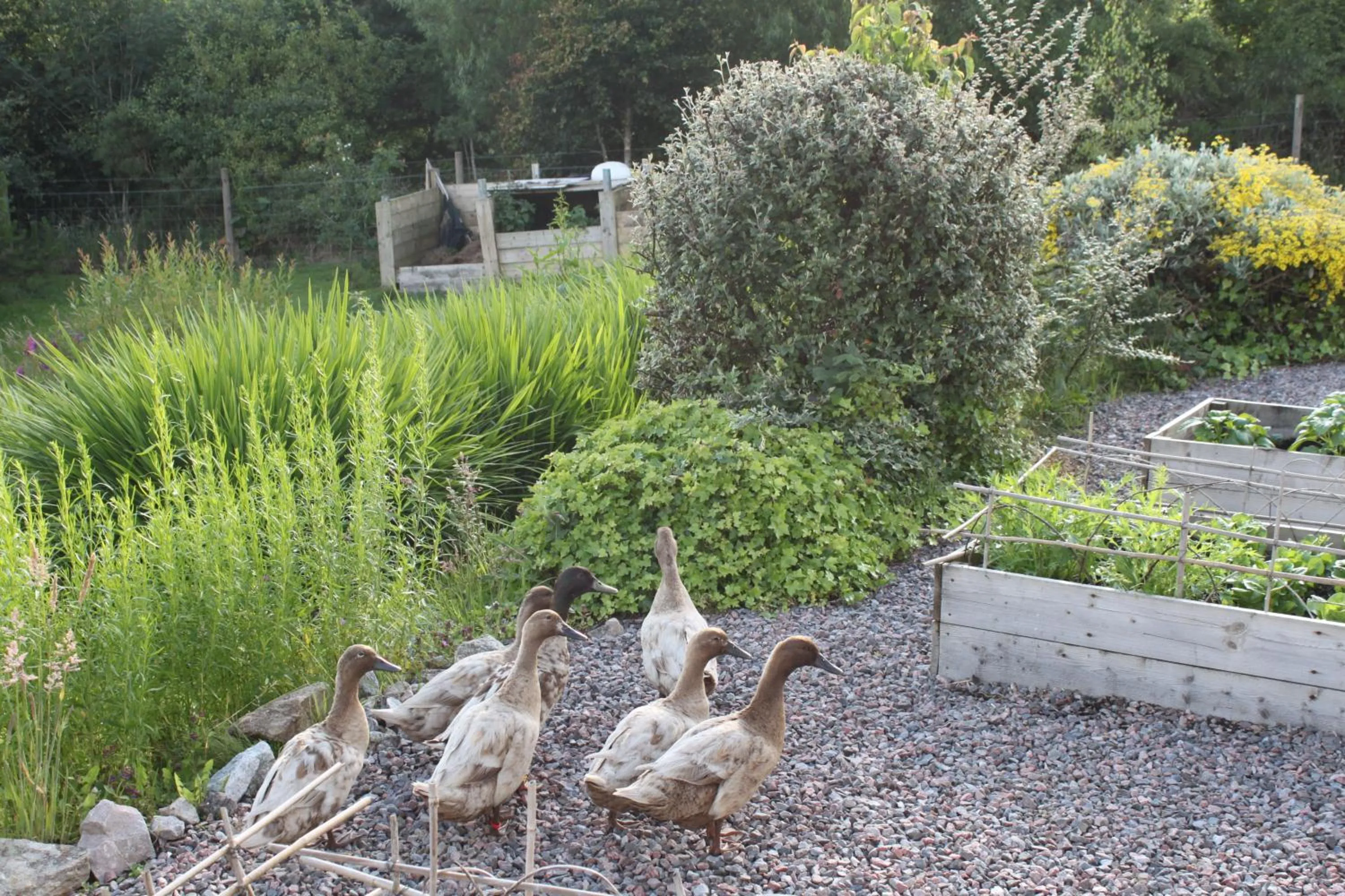 Heatherbank Guest House