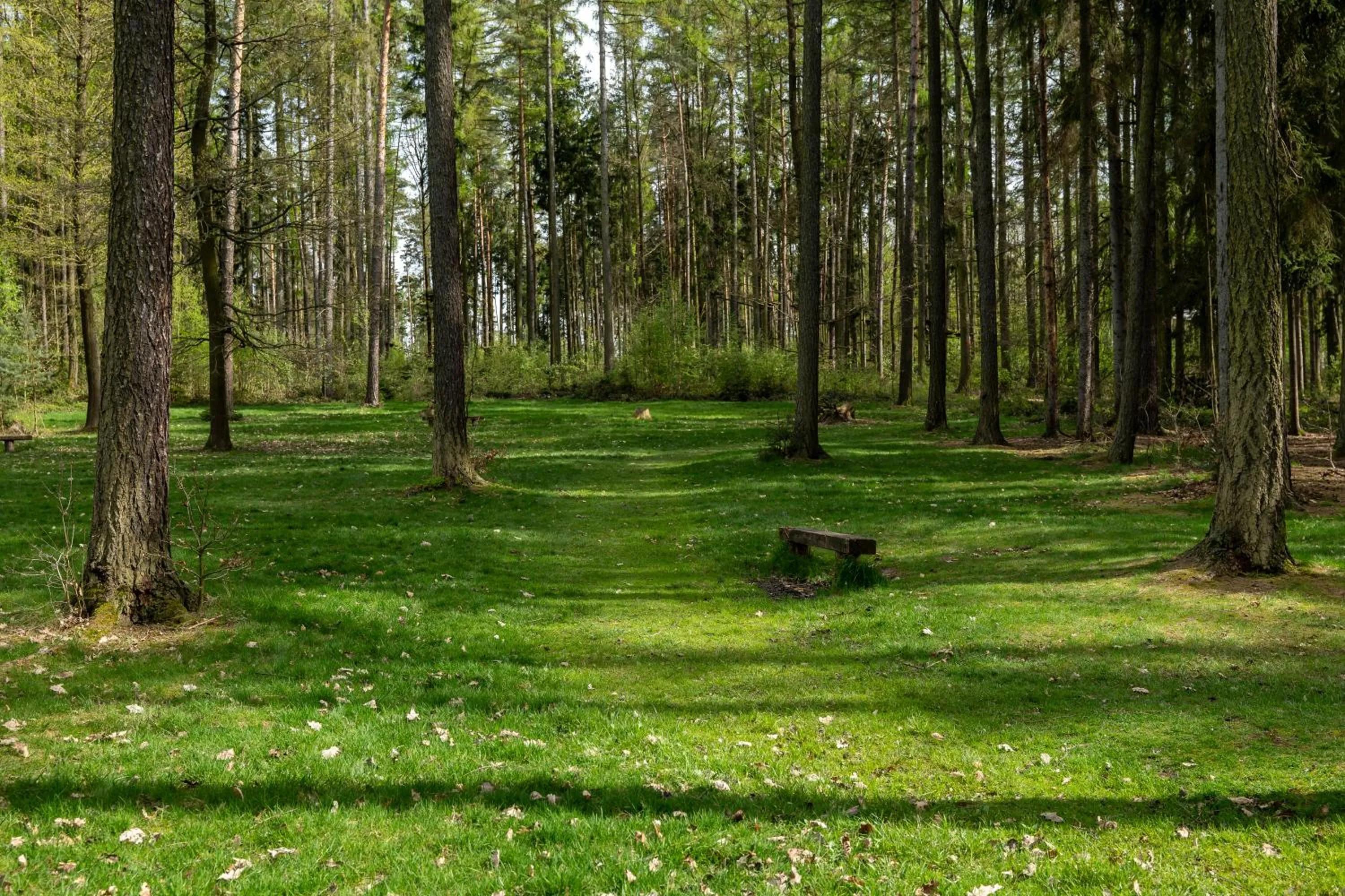 Archa restaurant a penzion