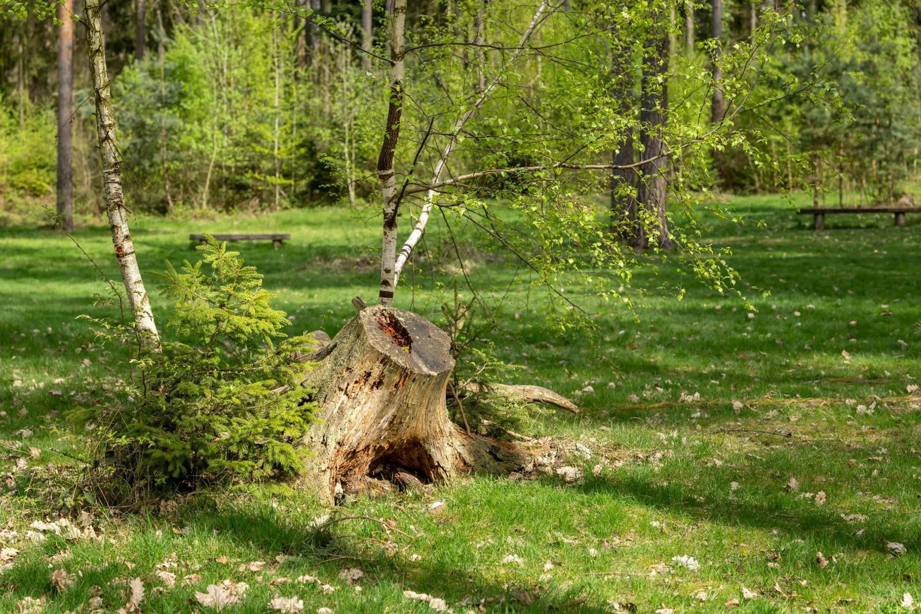 Off site in Archa hotel