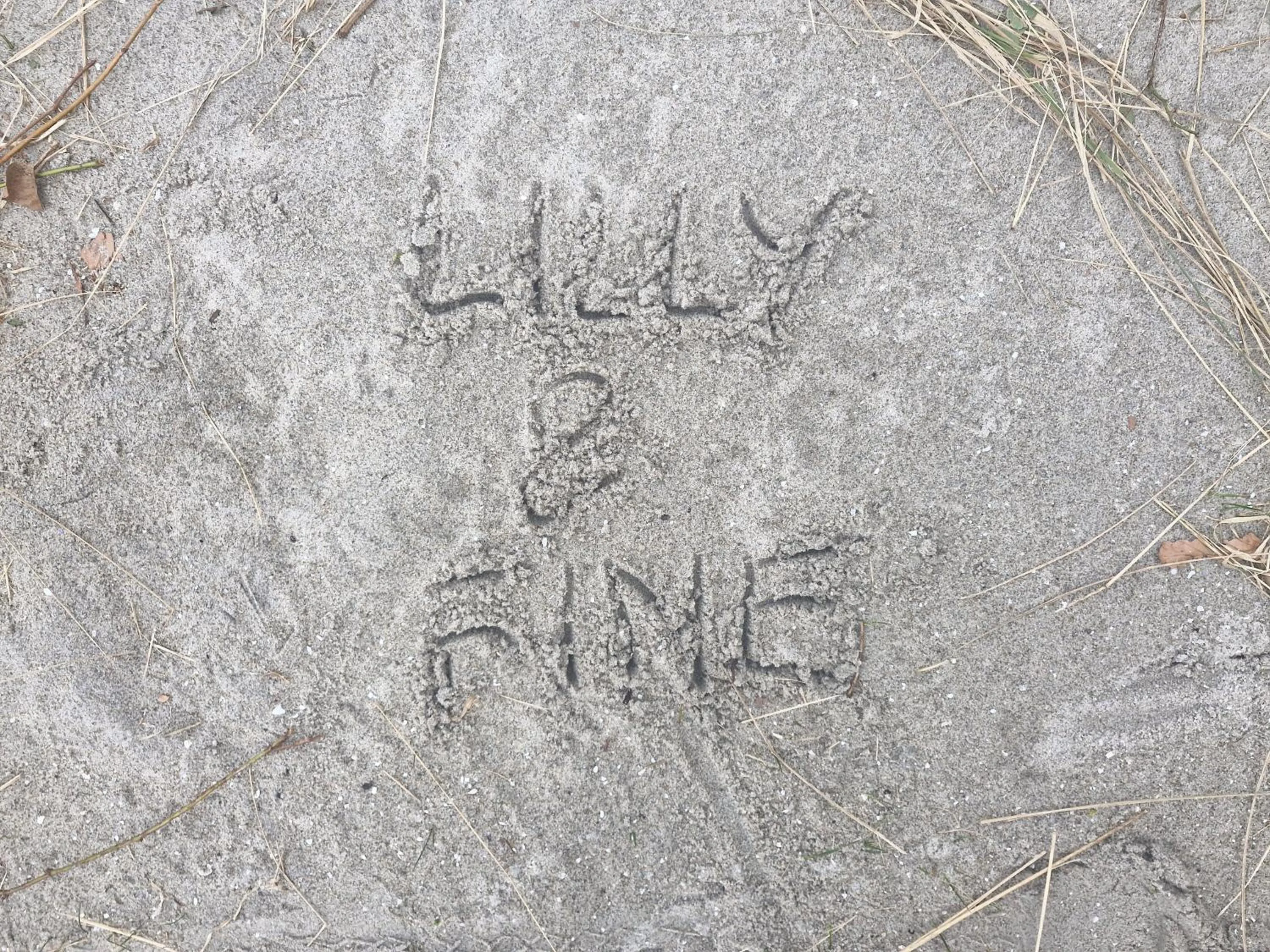 Lilly & Fine
