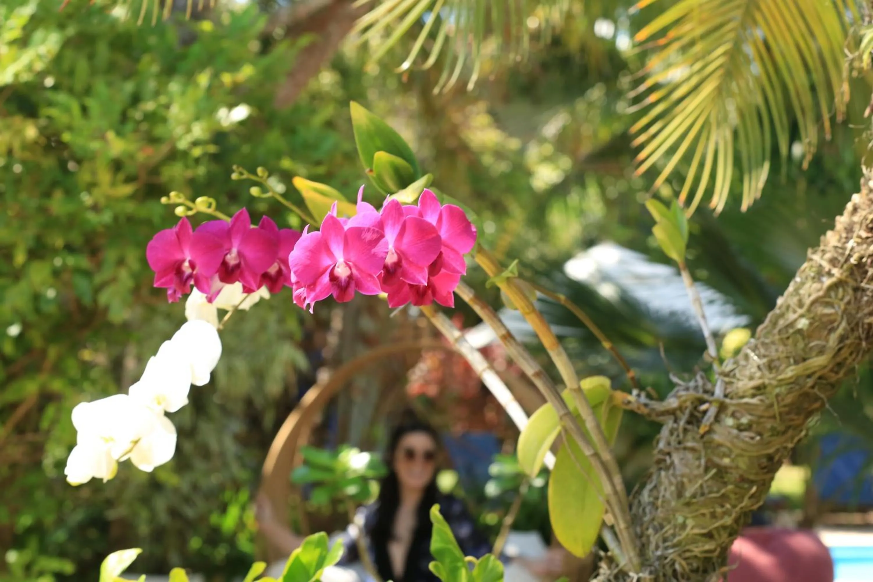 Garden in Pousada Arriba Pipa