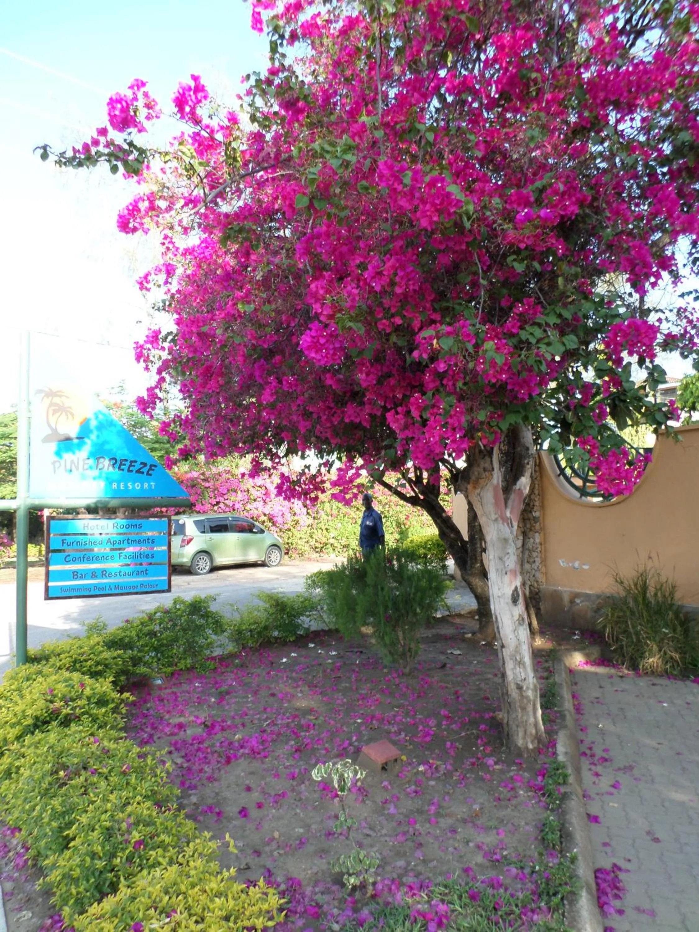 Property building in Pinebreeze Holiday Resort