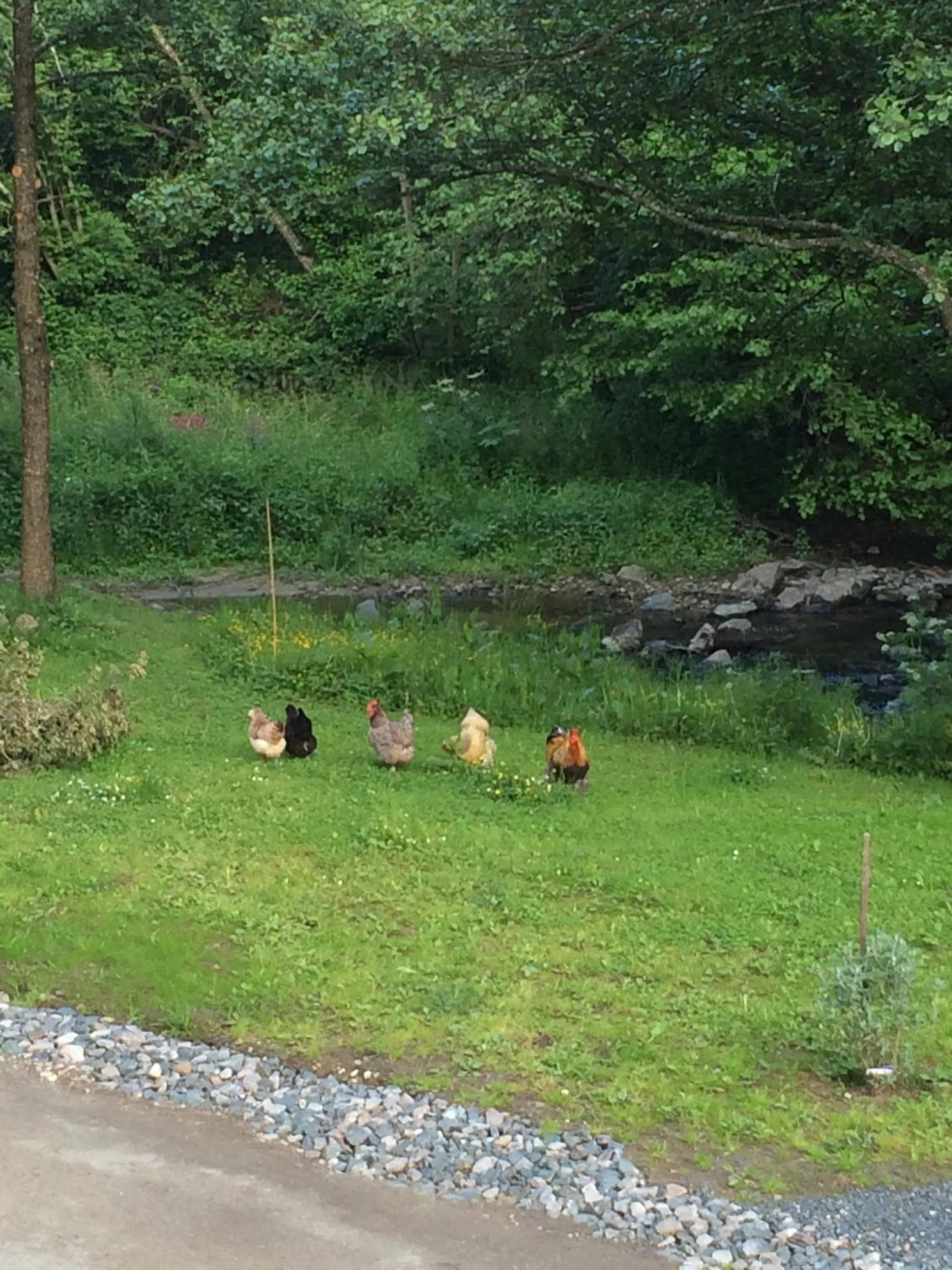 Natural landscape in Les Sittelles de Bamboche