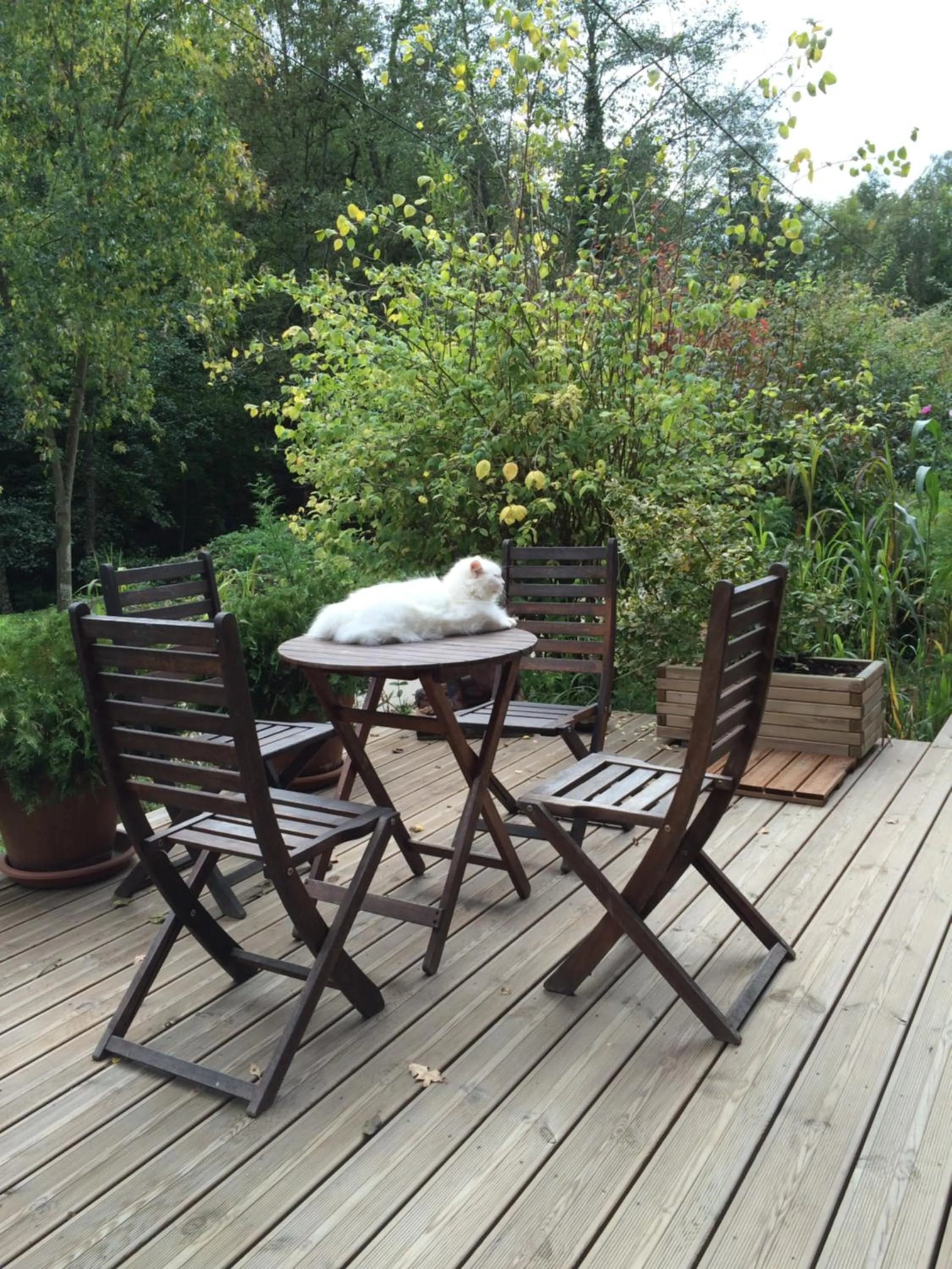 Garden in Les Sittelles de Bamboche