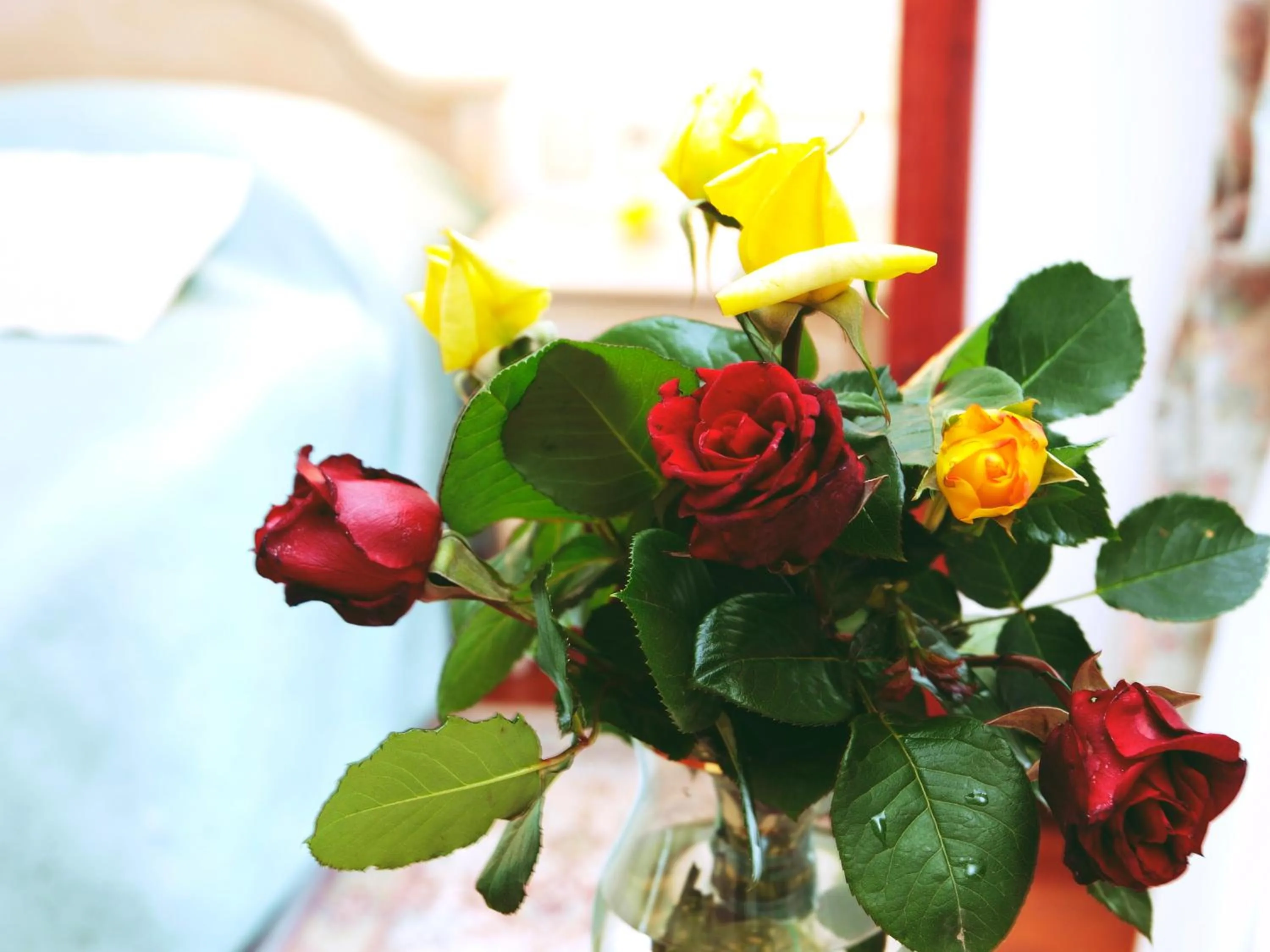 Decorative detail, Food in Hotel Mozart