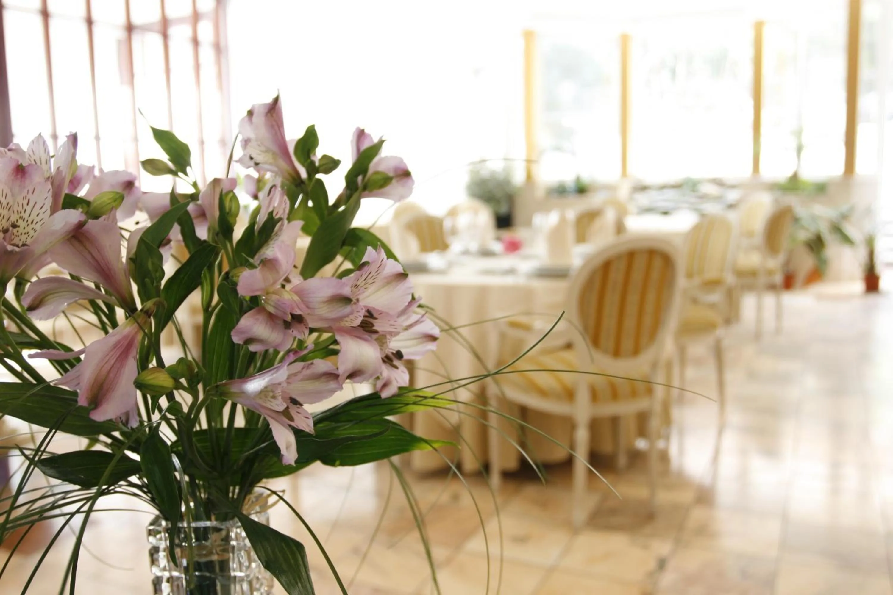 Restaurant/places to eat in Hotel Mozart