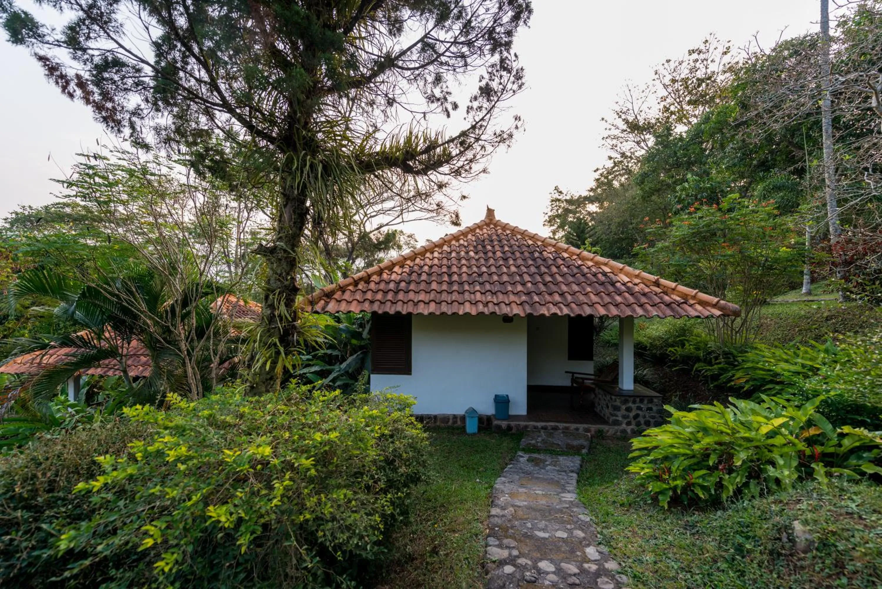 Garden view in Ecolodge Seloliman