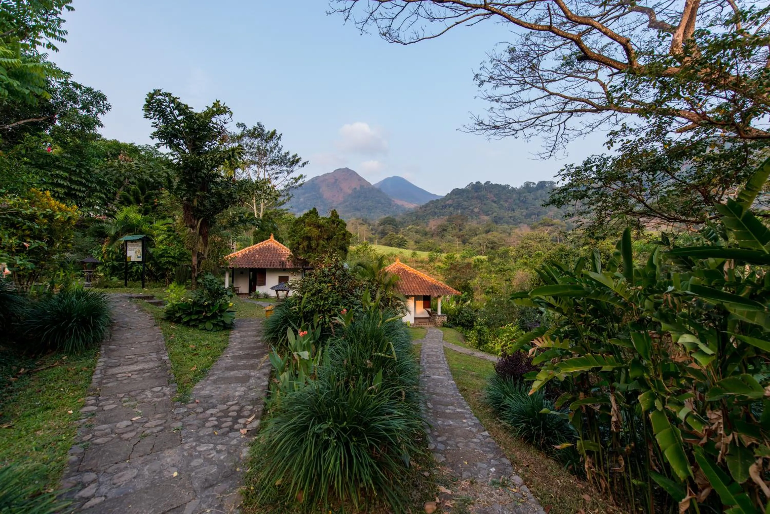 Natural landscape in Ecolodge Seloliman