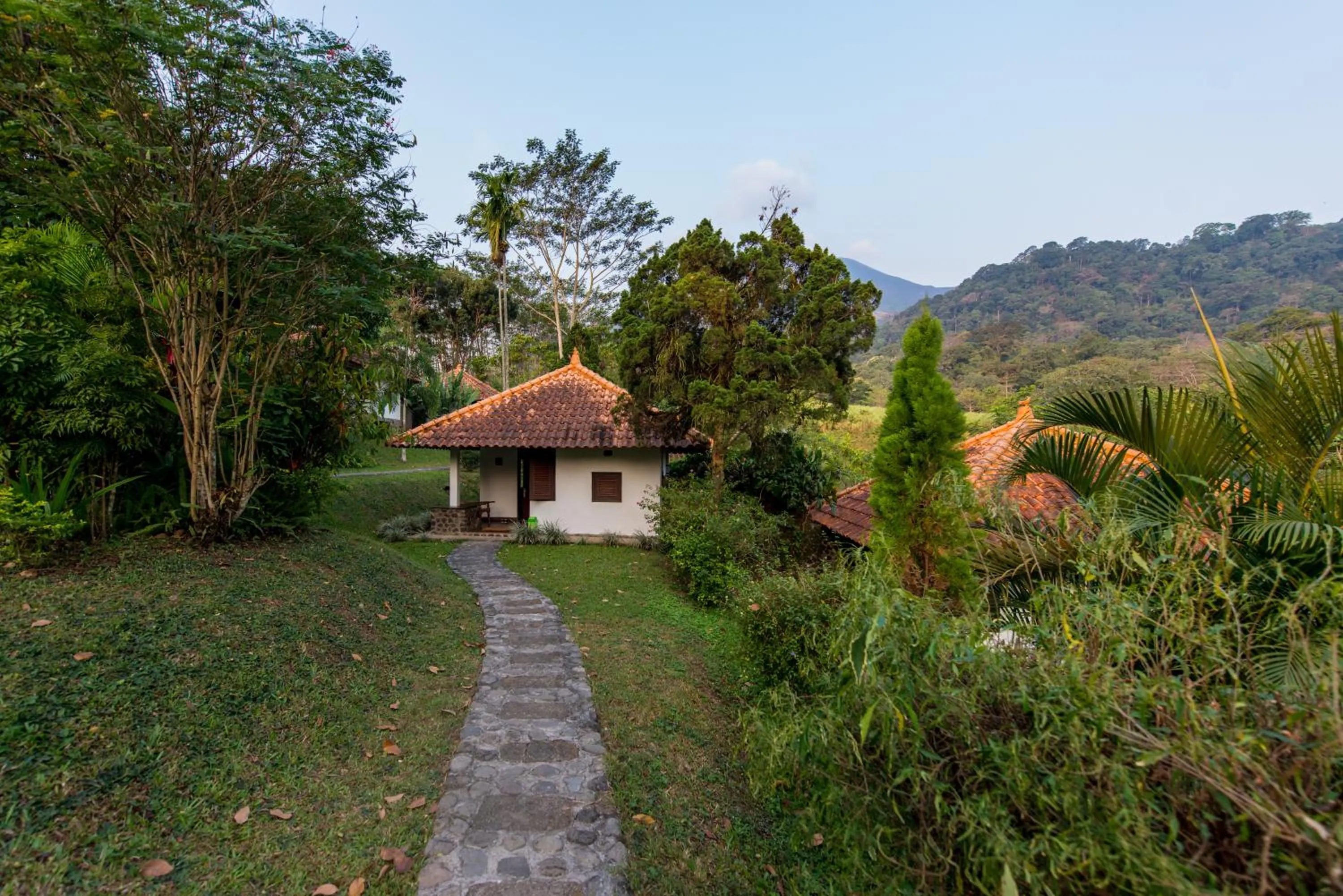 Garden view in Ecolodge Seloliman