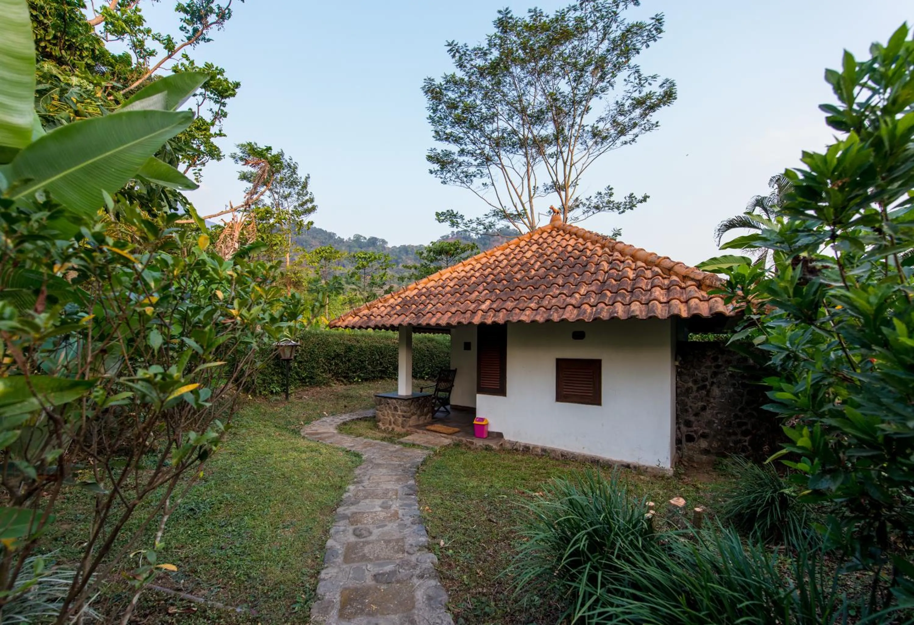 Natural landscape in Ecolodge Seloliman