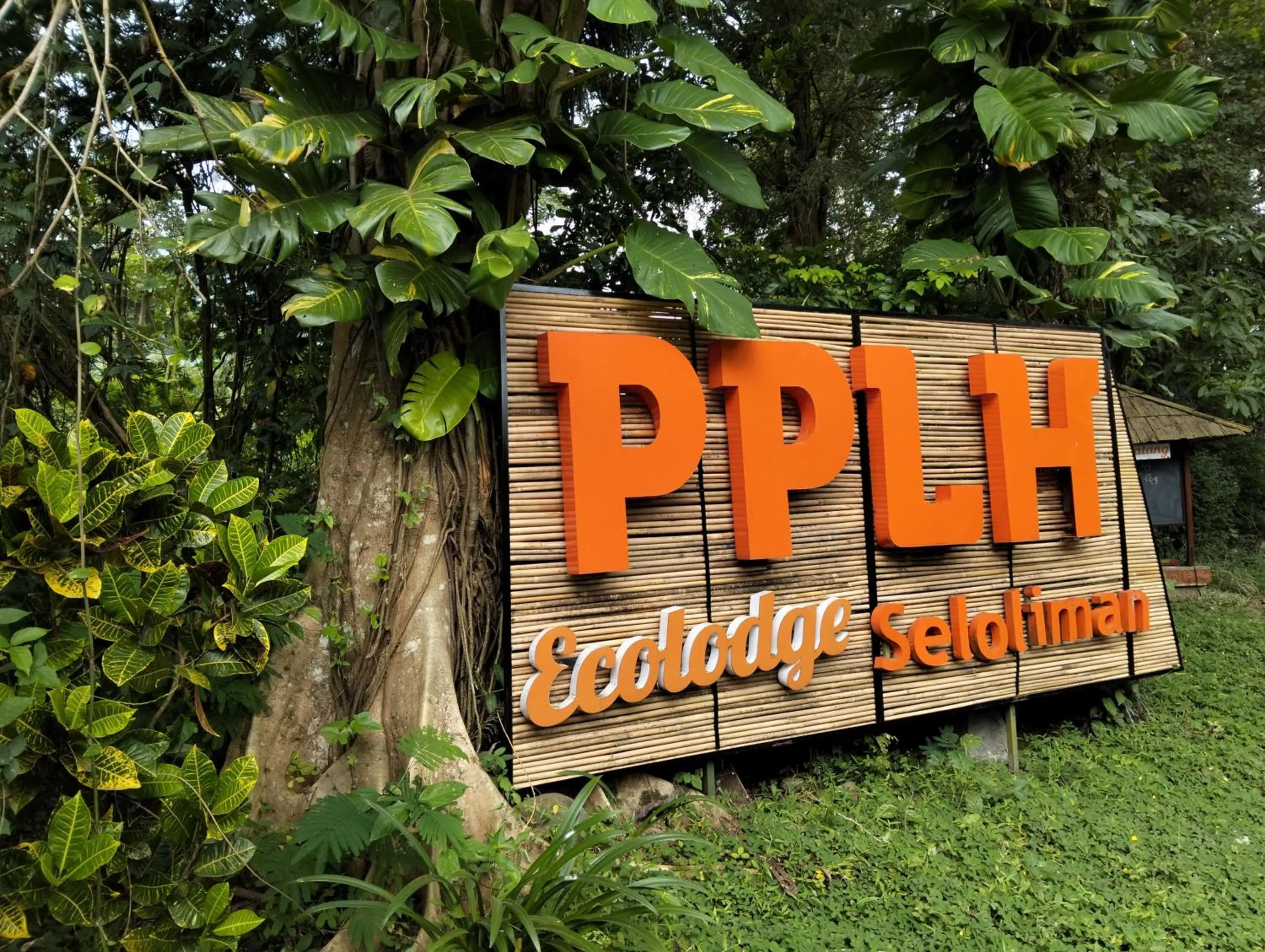 Location in Ecolodge Seloliman