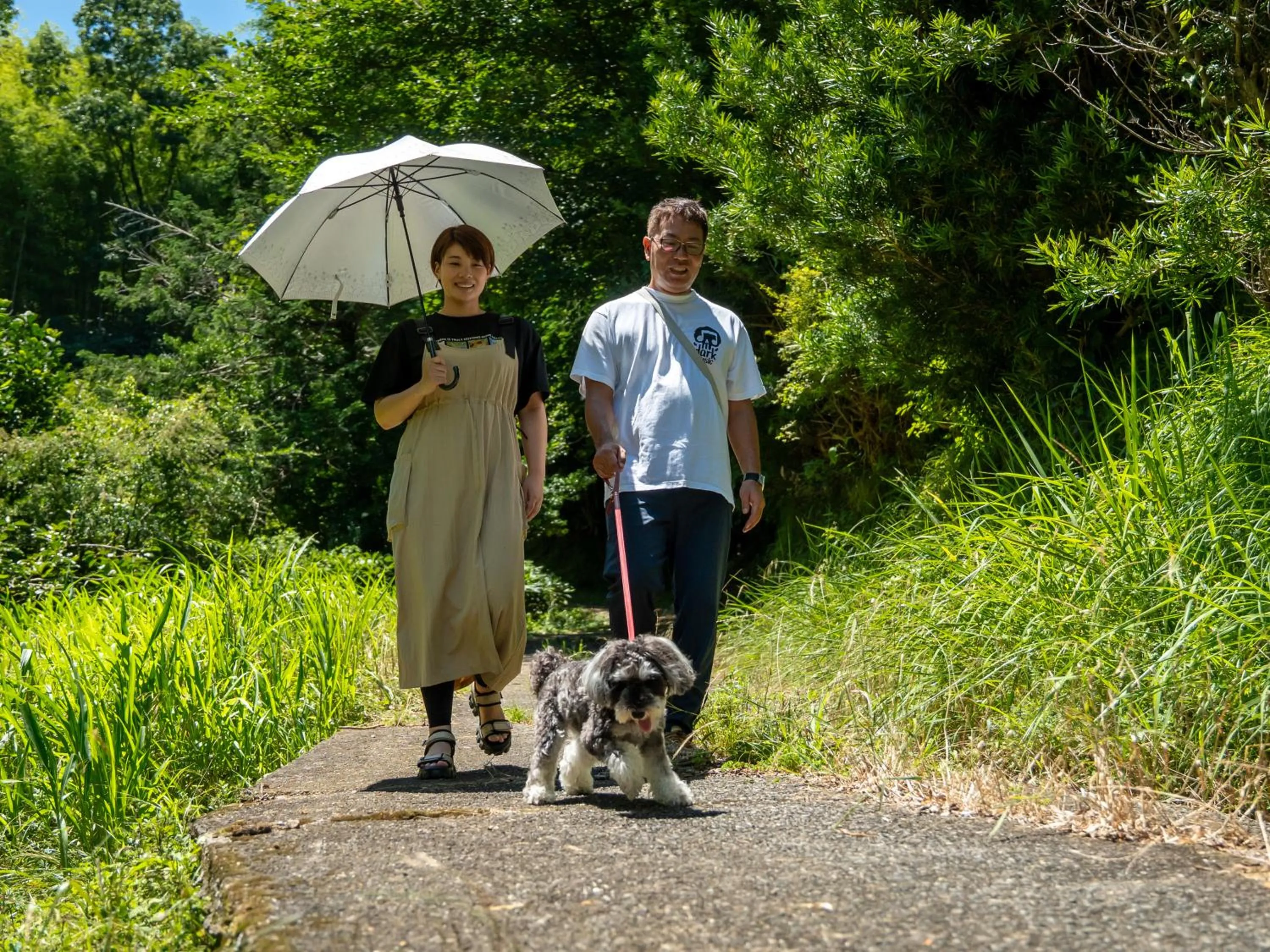 Animals in Farm Garden Hotel