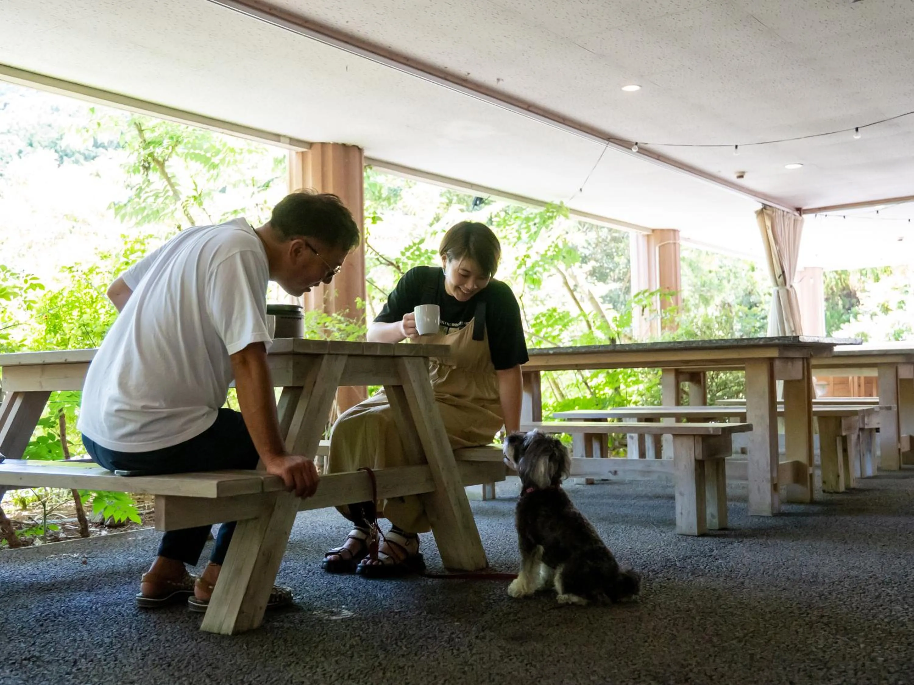 Animals in Farm Garden Hotel
