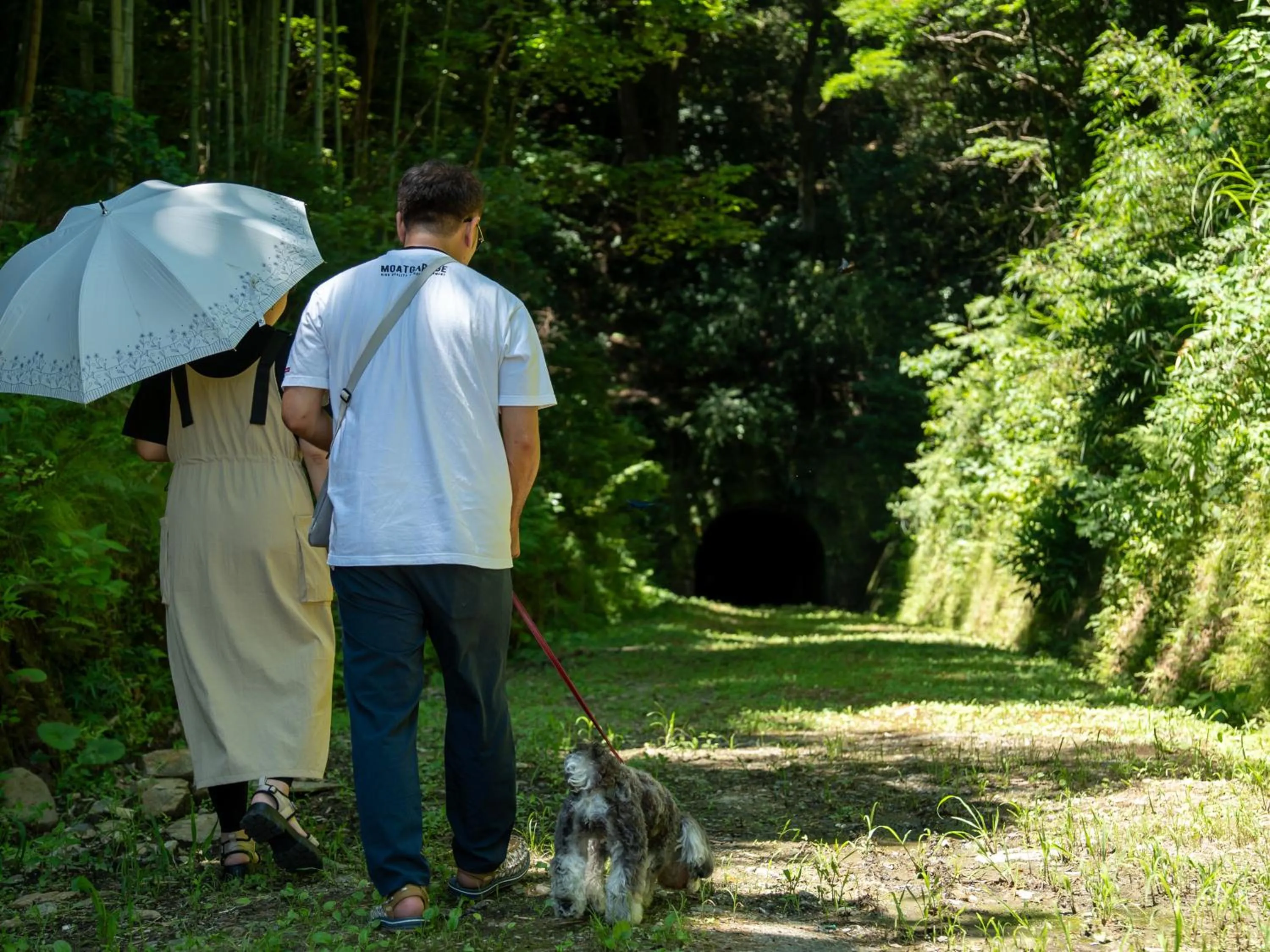 Animals in Farm Garden Hotel