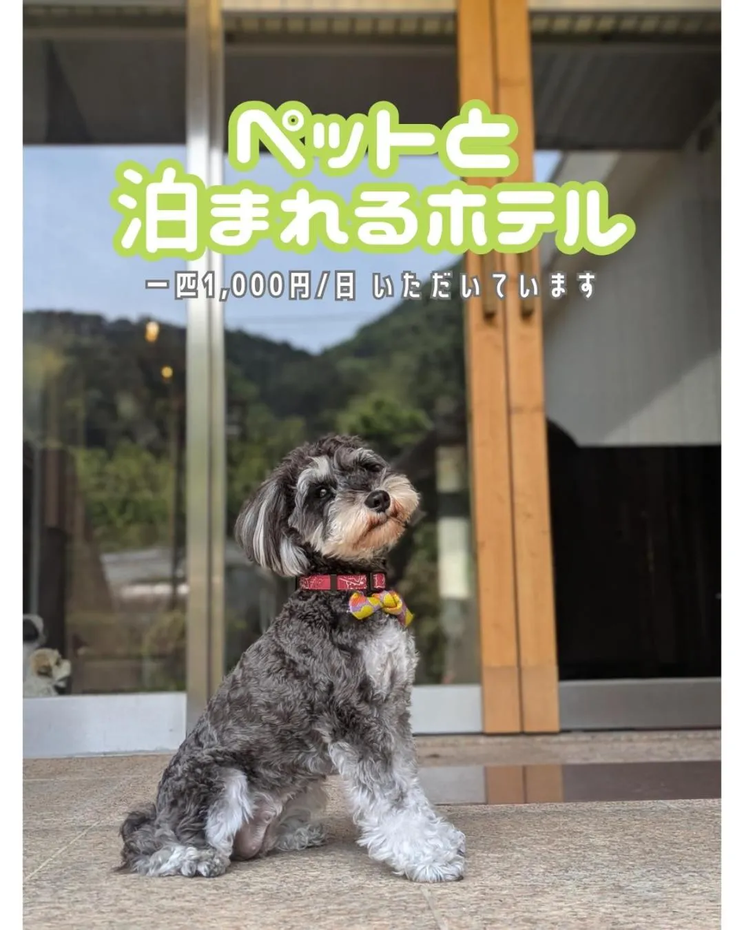 Text overlay in Farm Garden Hotel