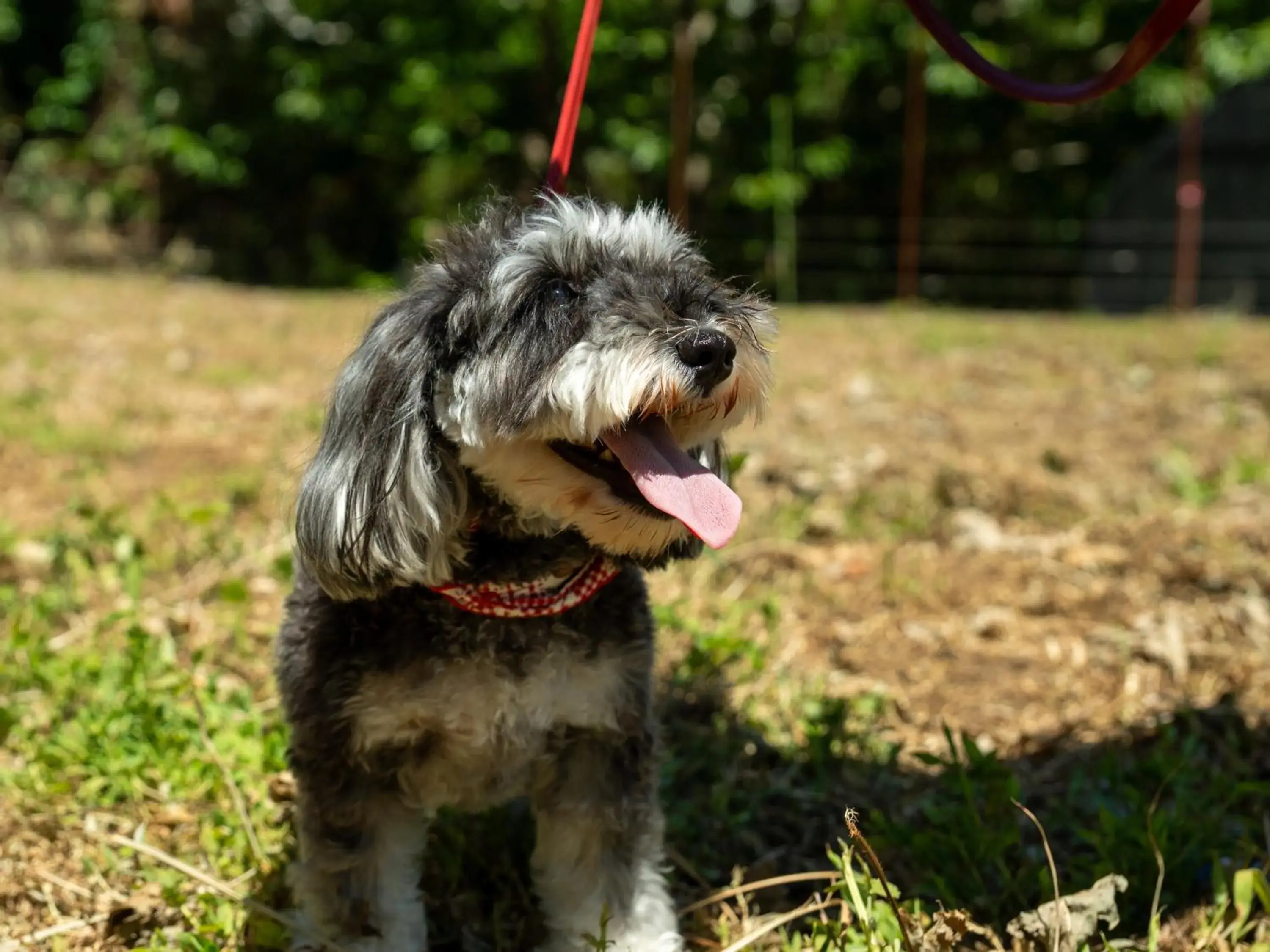 Farm Garden Hotel Farm Garden Hotel