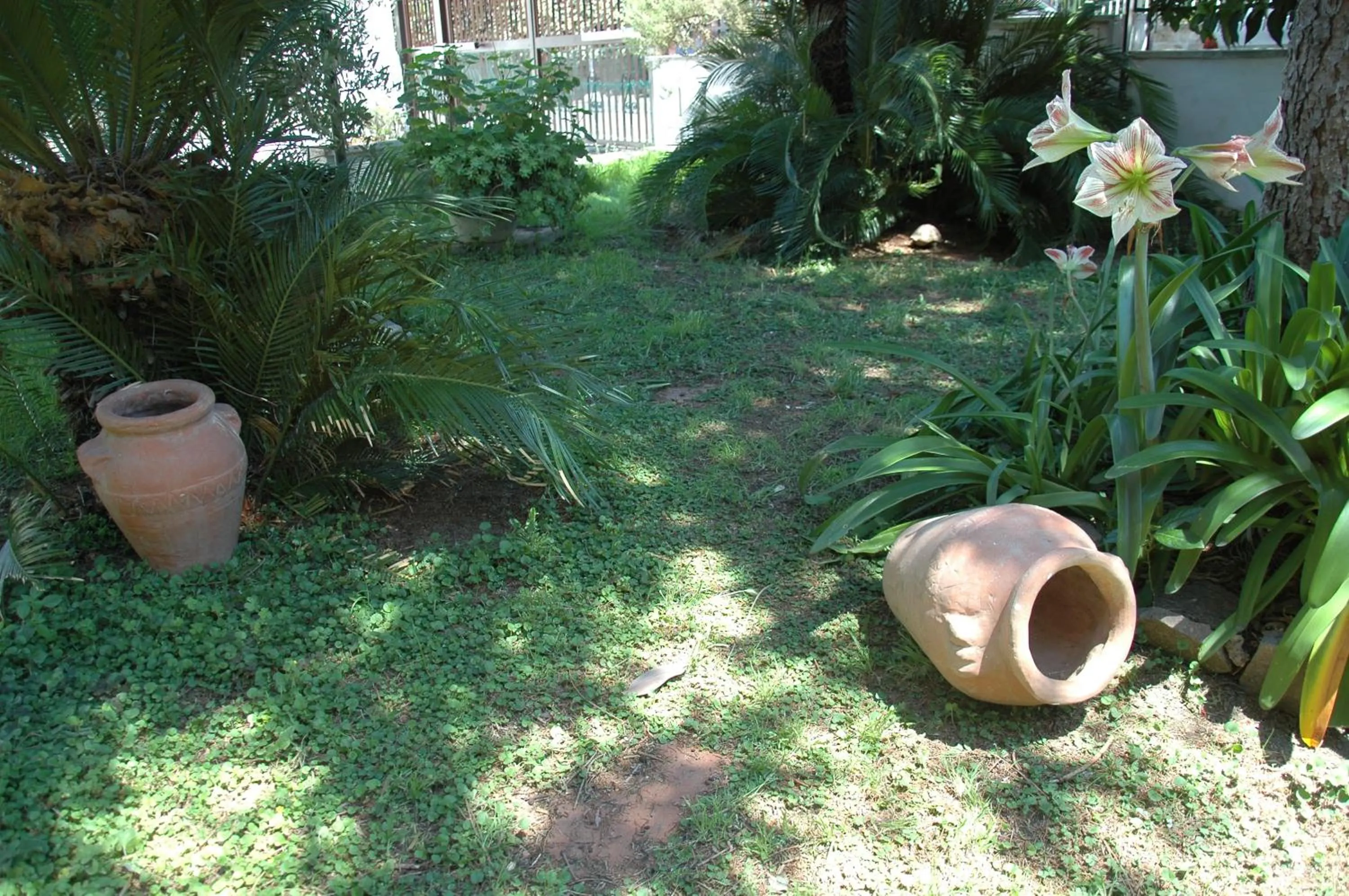Garden in Le Anfore