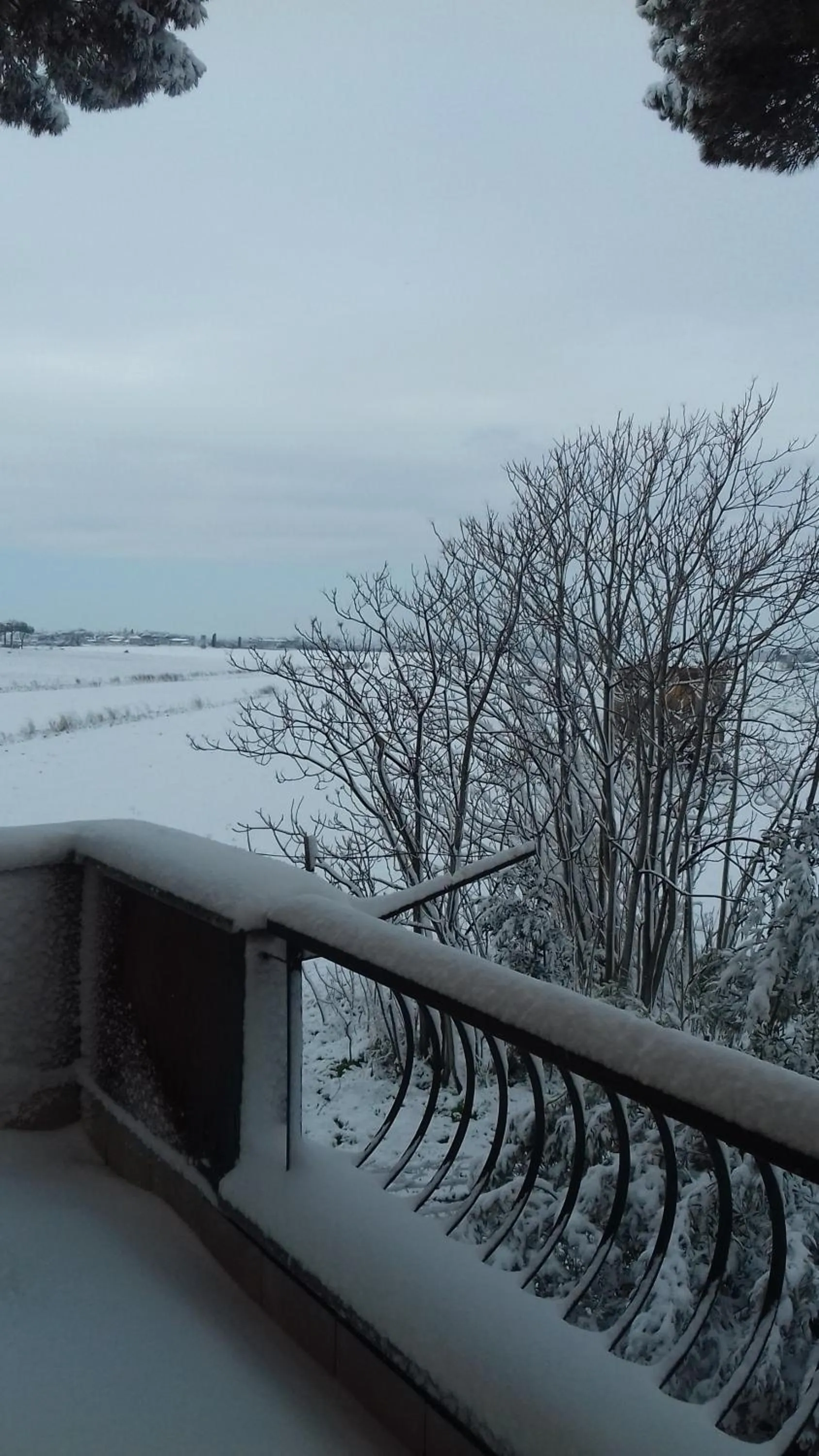Balcony/Terrace in Le Anfore