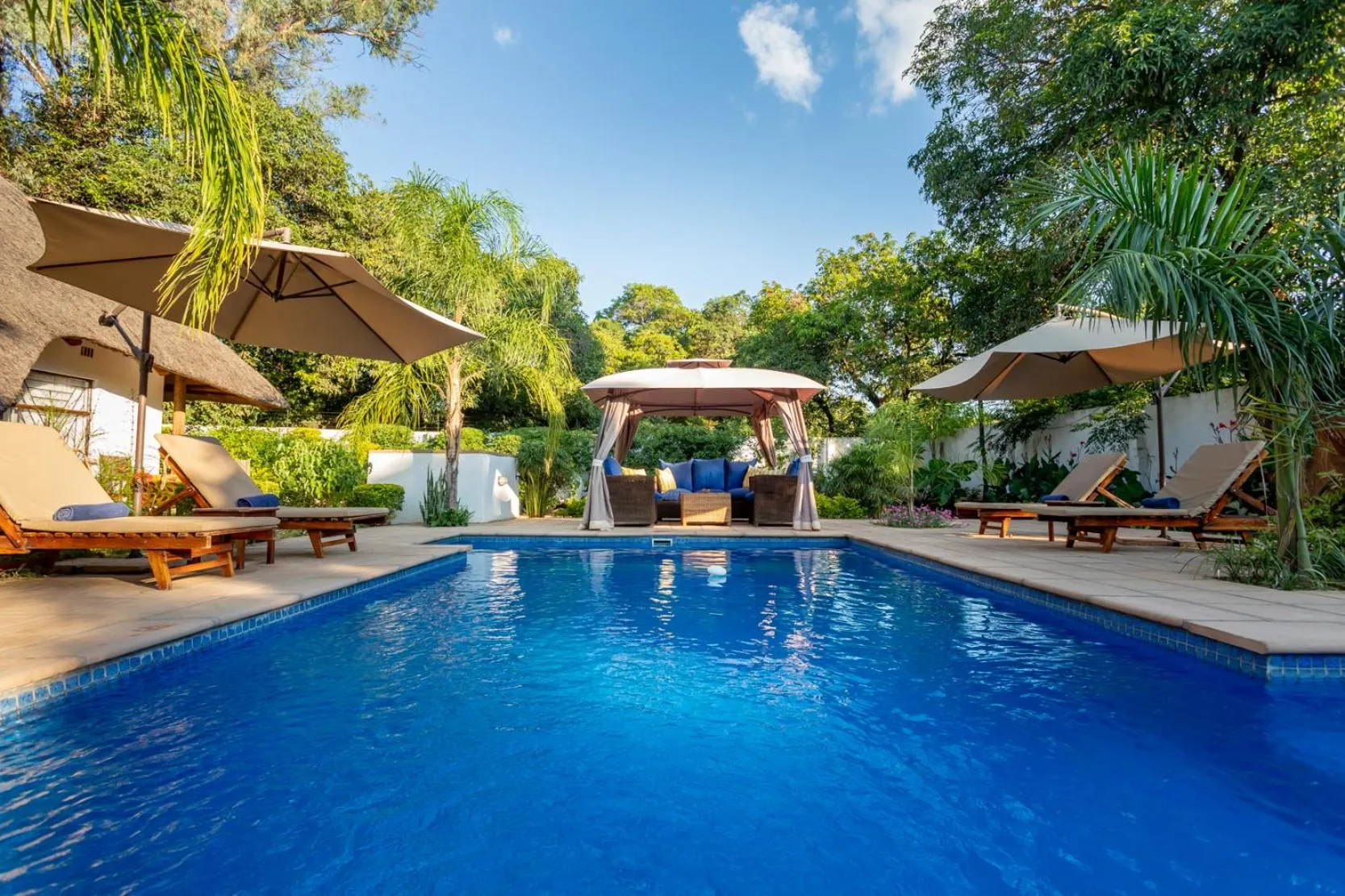 Garden in Ngoma Zanga Lodge