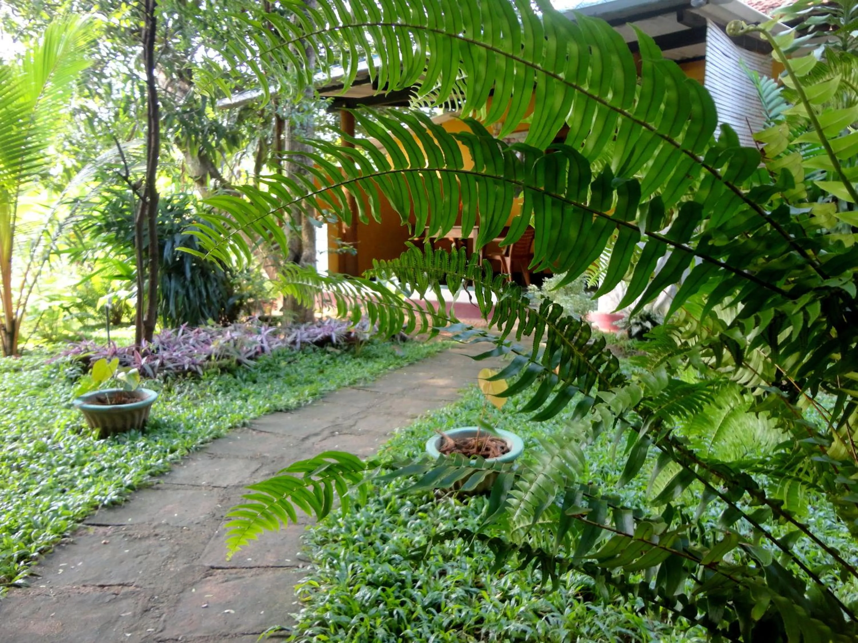 Standard Double Room with Fan - single occupancy in Sigiri Neo Homestay