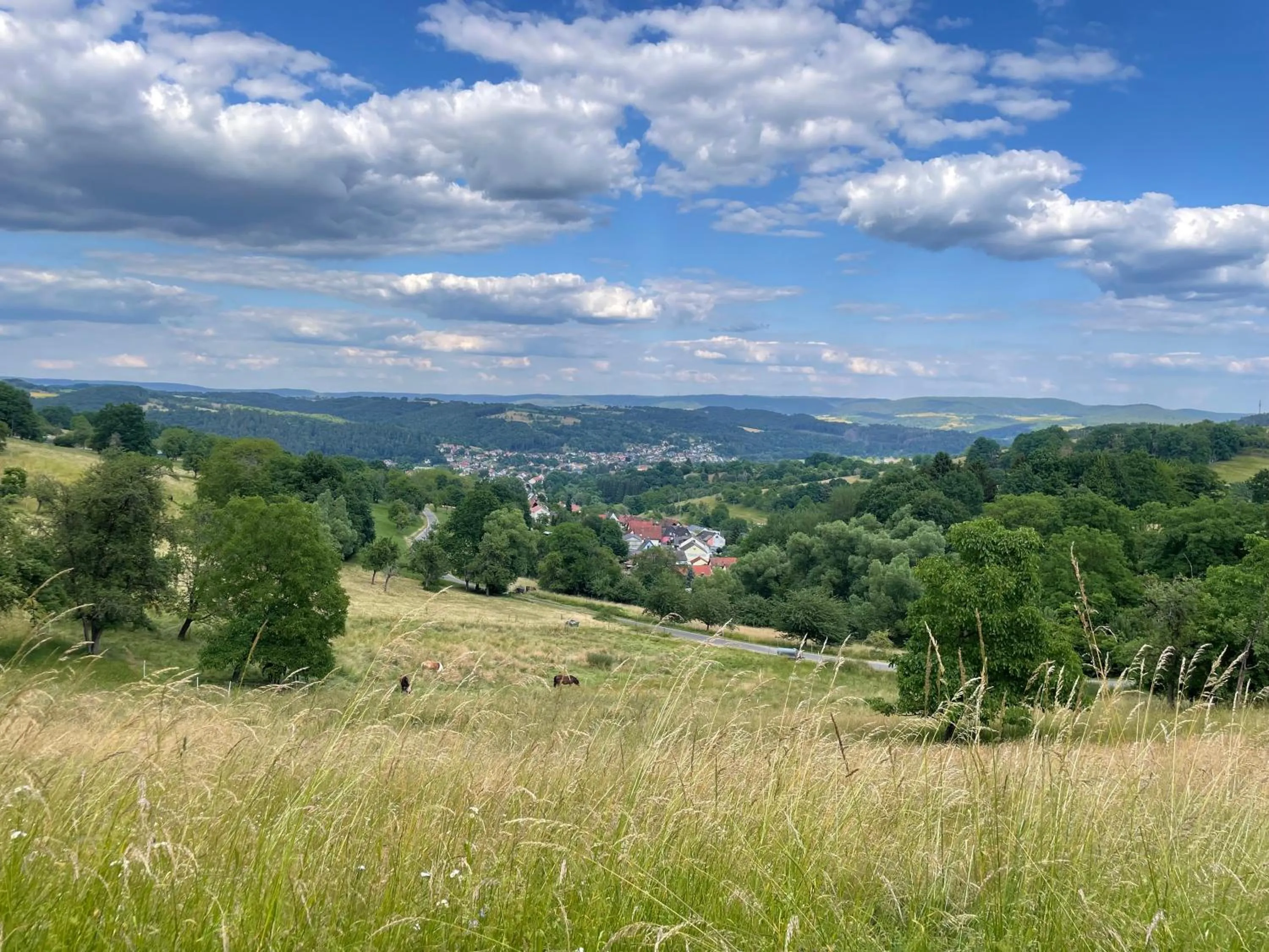 Hiking in Steffens Herrnmuehle