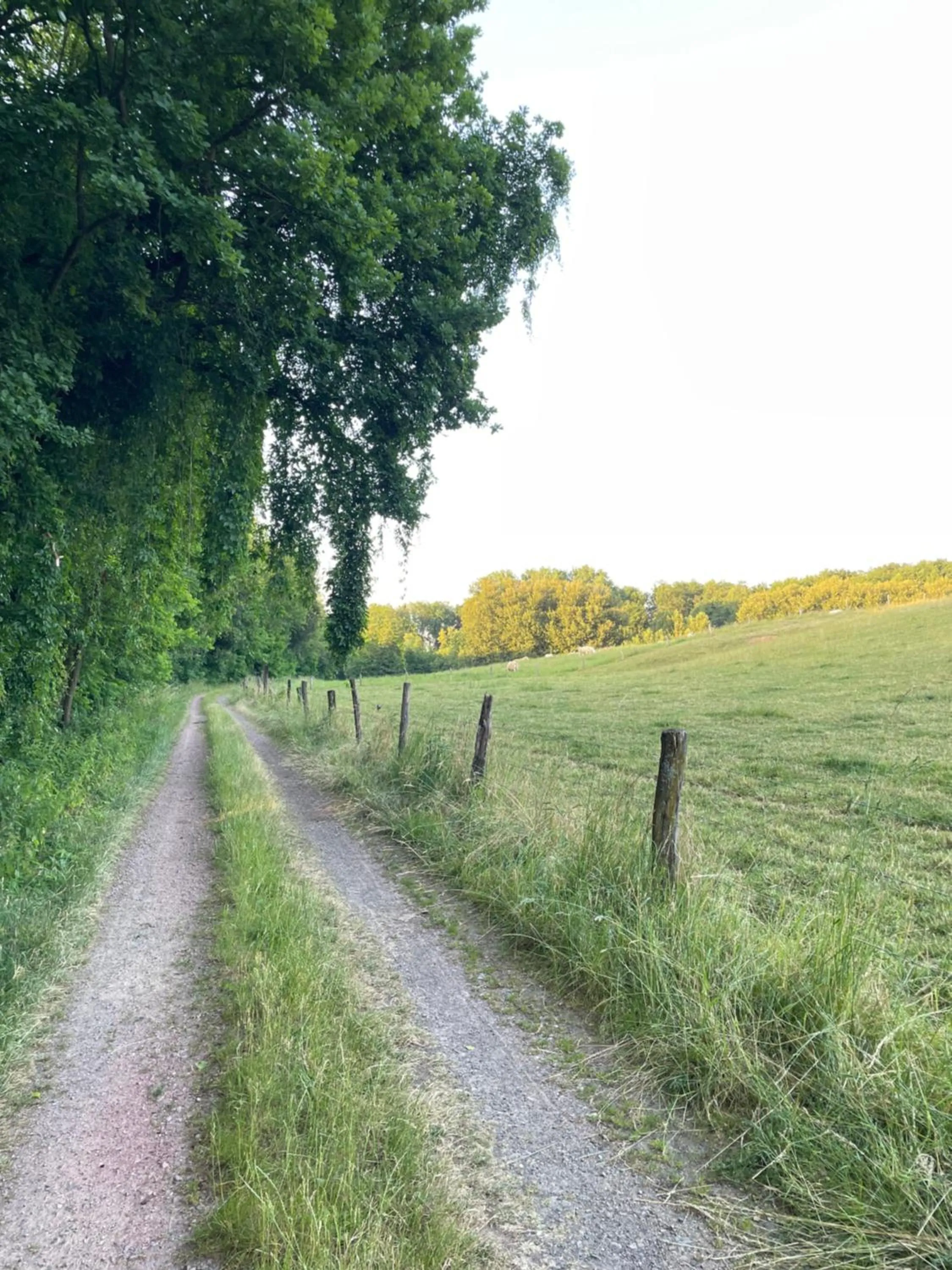 Hiking in Steffens Herrnmuehle