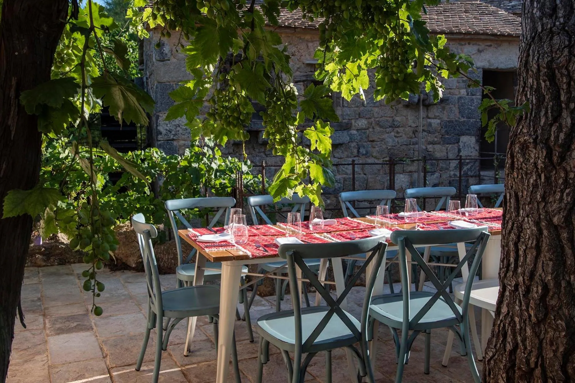 Restaurant/places to eat in Amadria Park Family Hotel Jakov