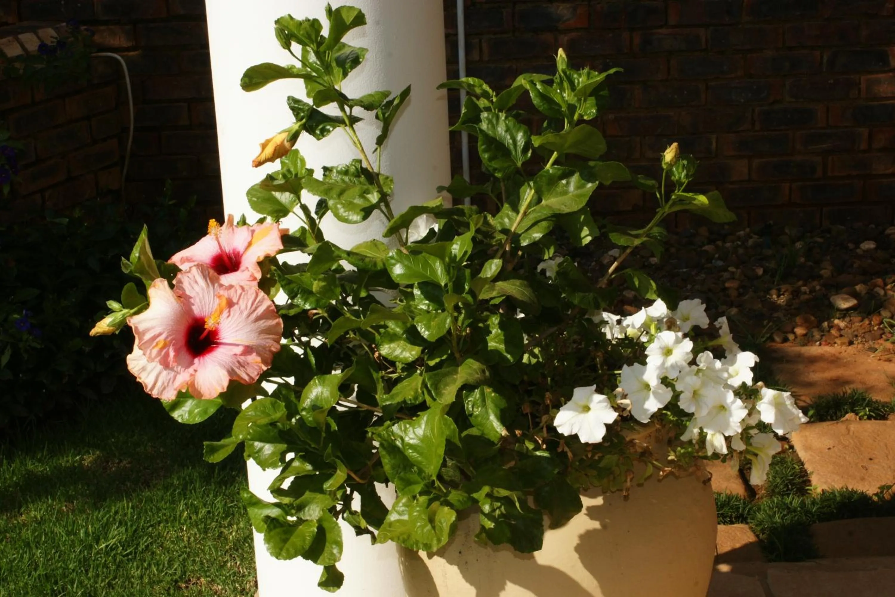 Natural landscape in Jolani Guest House