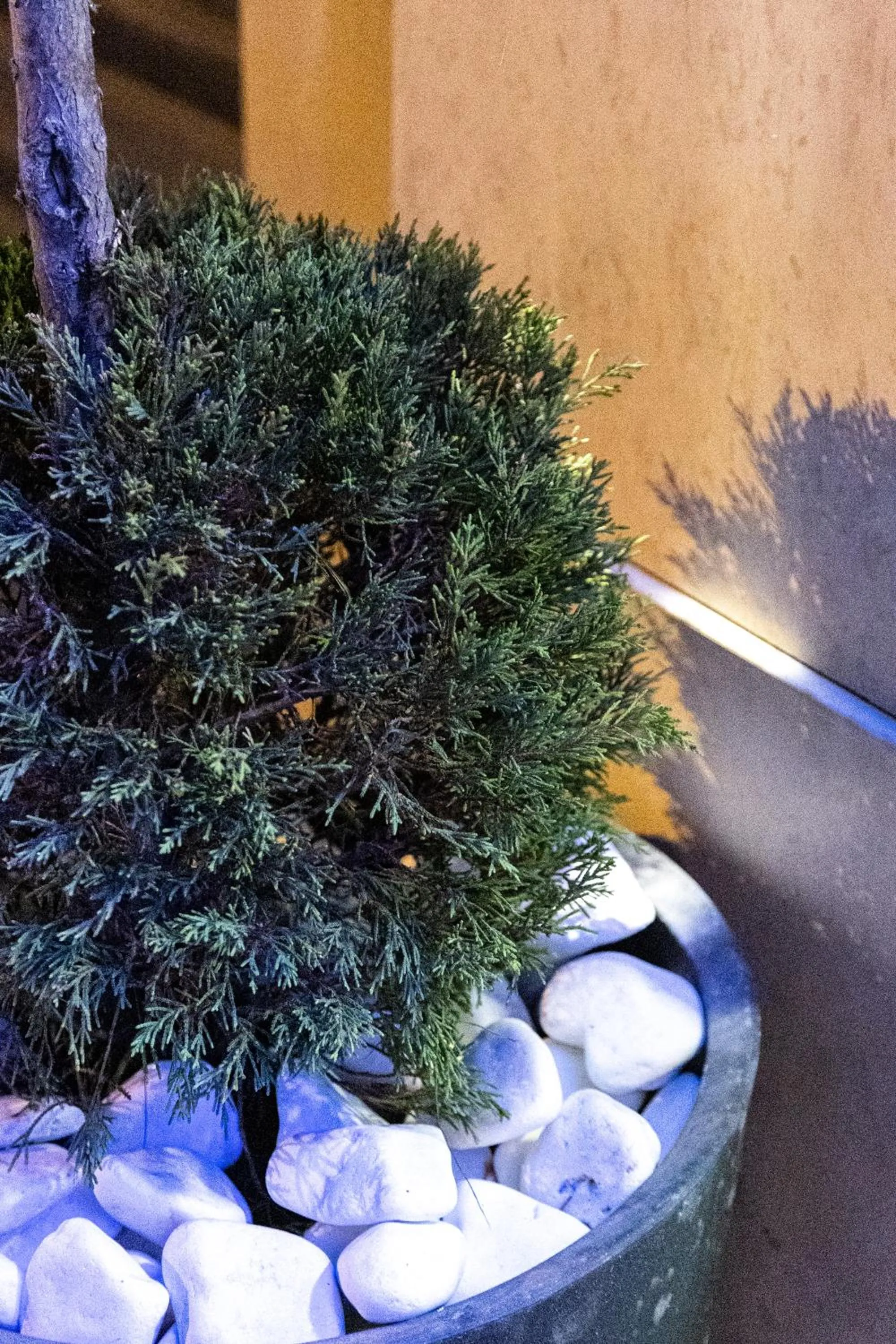 Property building in Limani Comfort Rooms