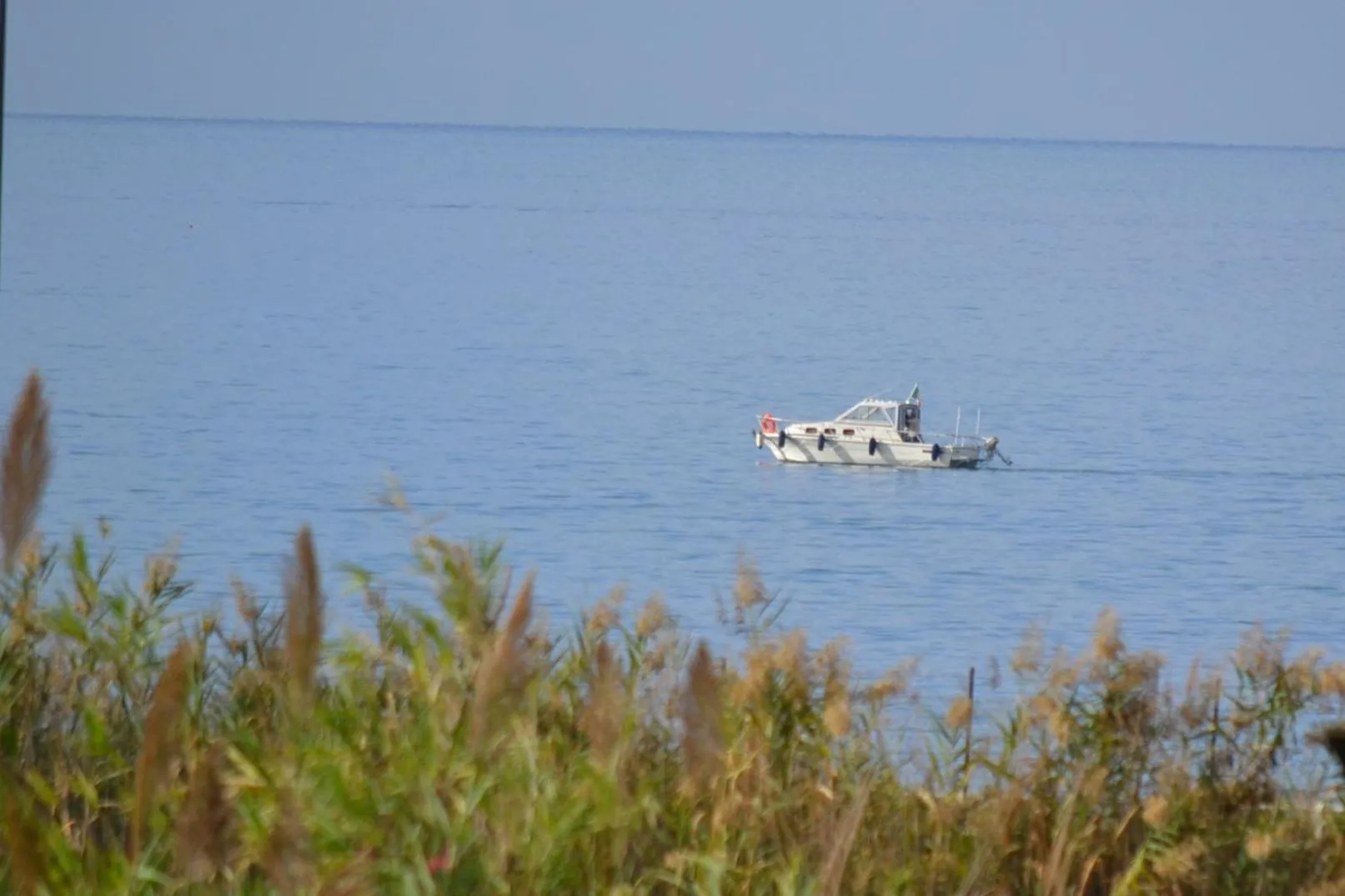 Other in Villa Arechi