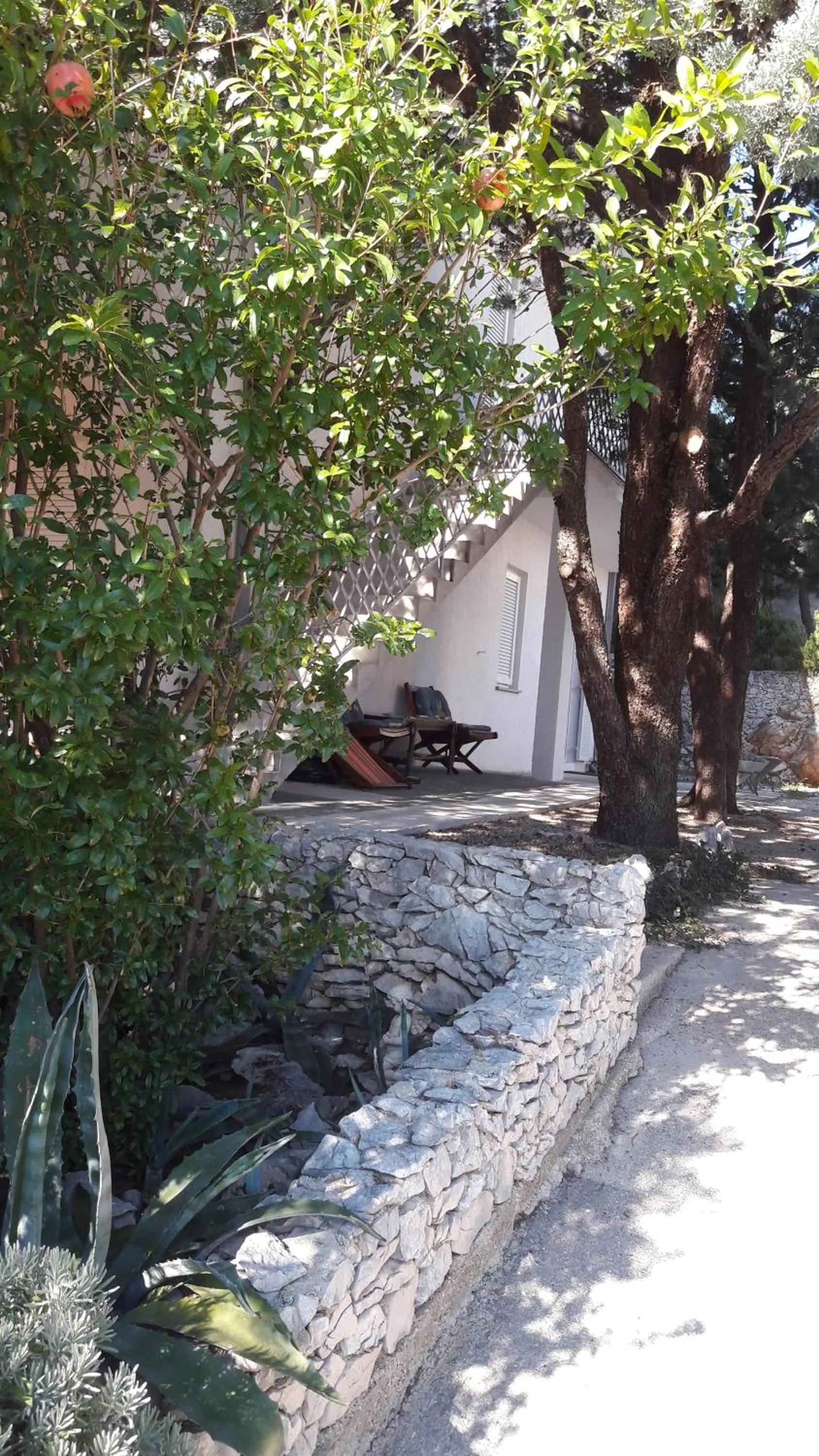 Natural landscape in Apartments G&P