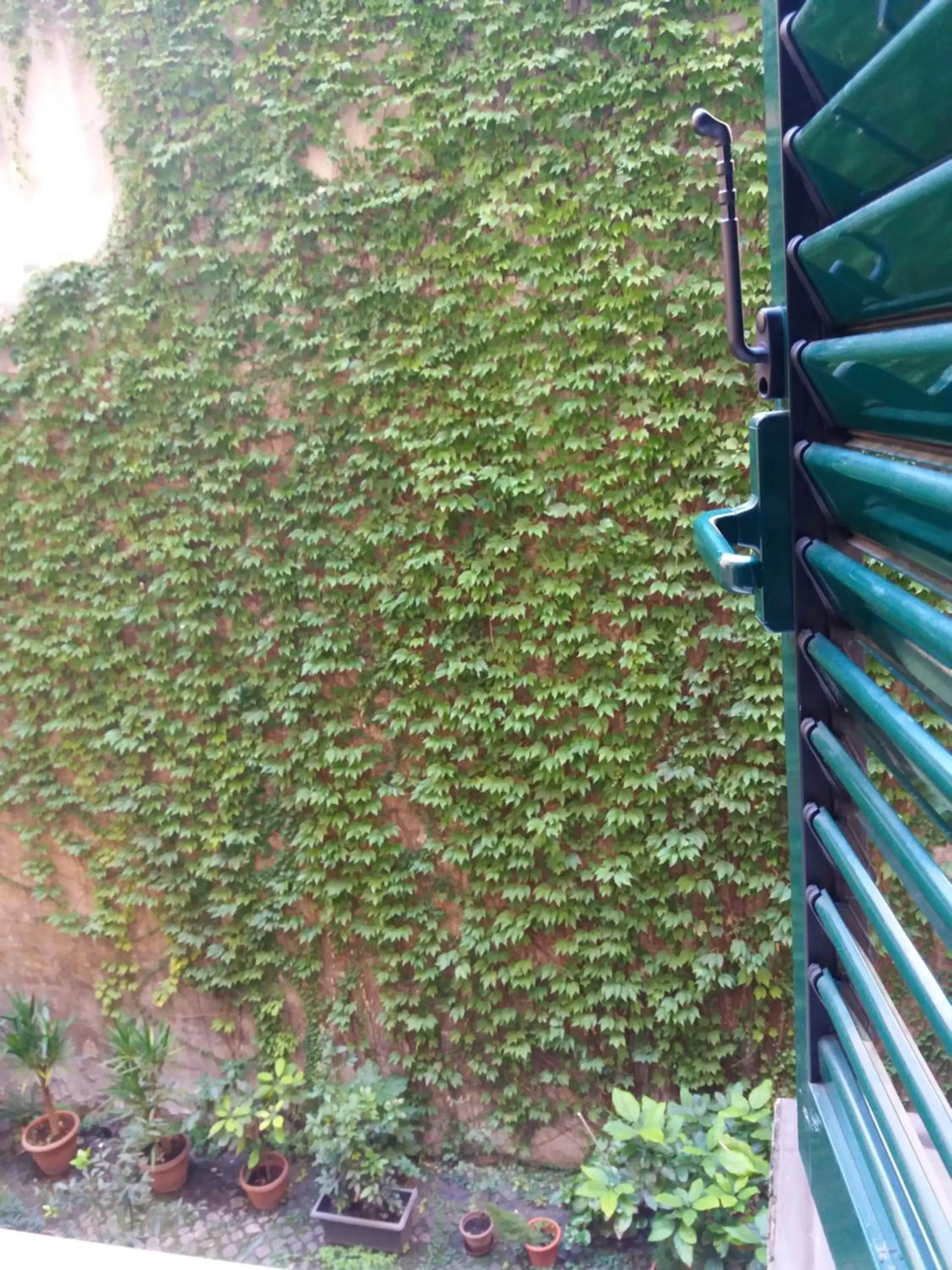 Inner courtyard view in B&B Federica's House In Rome