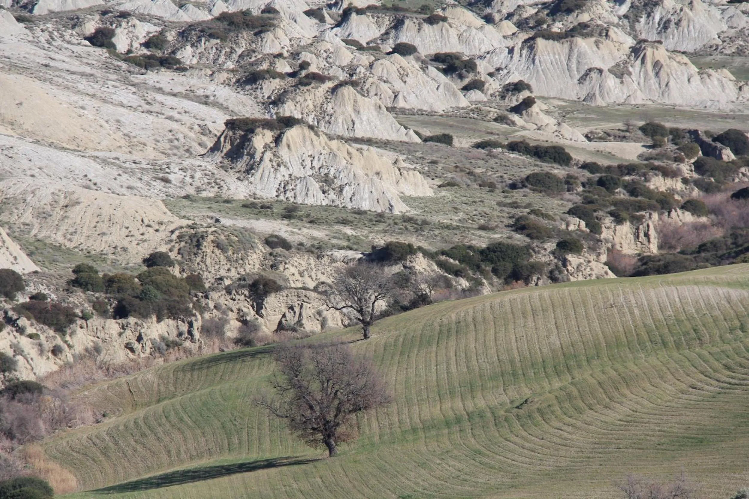 Other in La Casa dellAmericano - Casa d'epoca anni '30