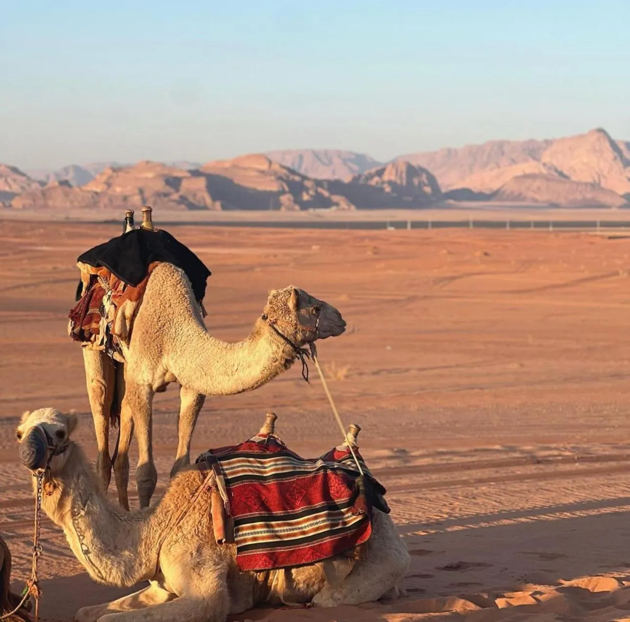 Activities in Hasan Zawaideh luxury camp 2