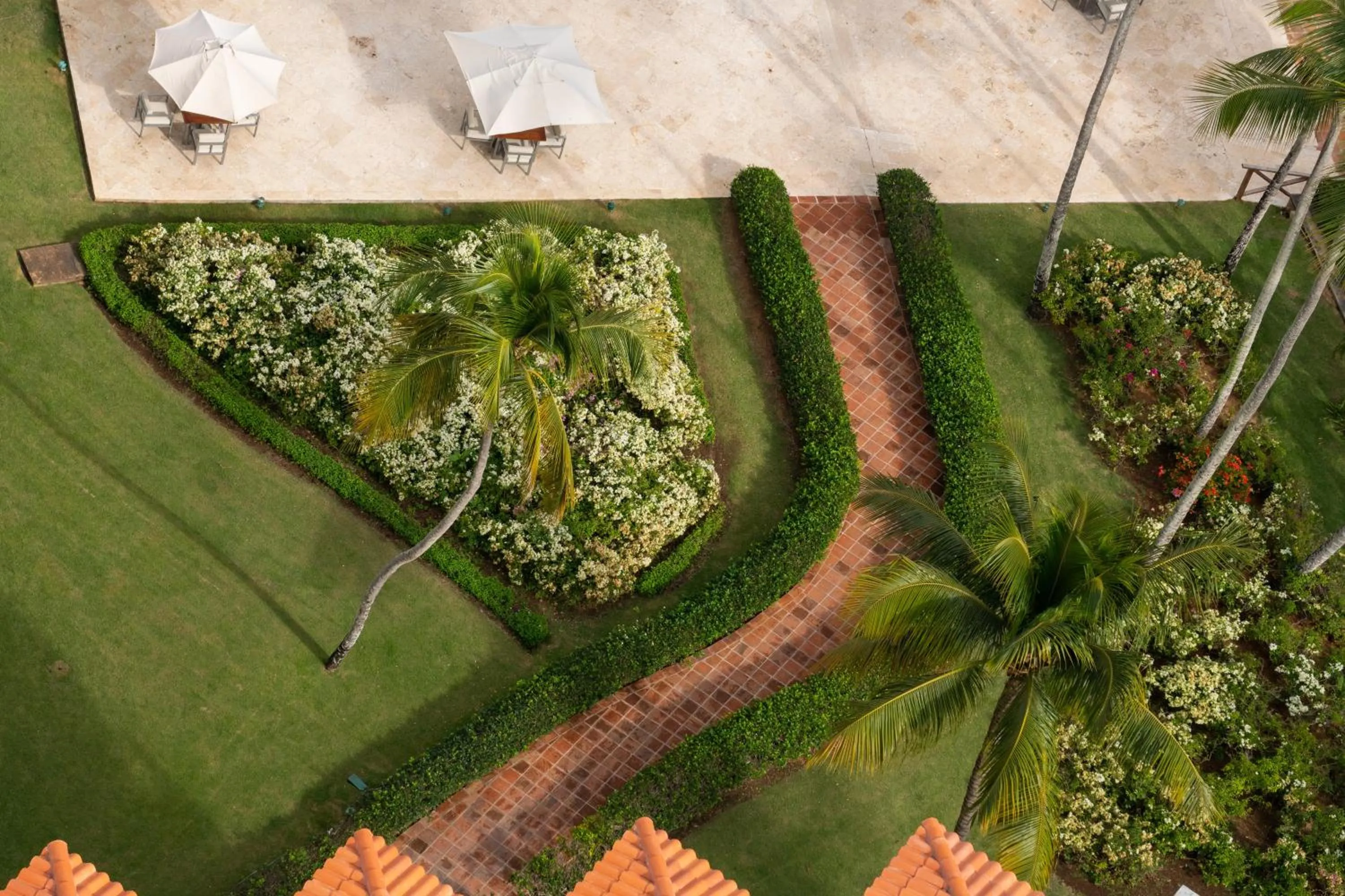Garden in Hotel Casa Hemingway