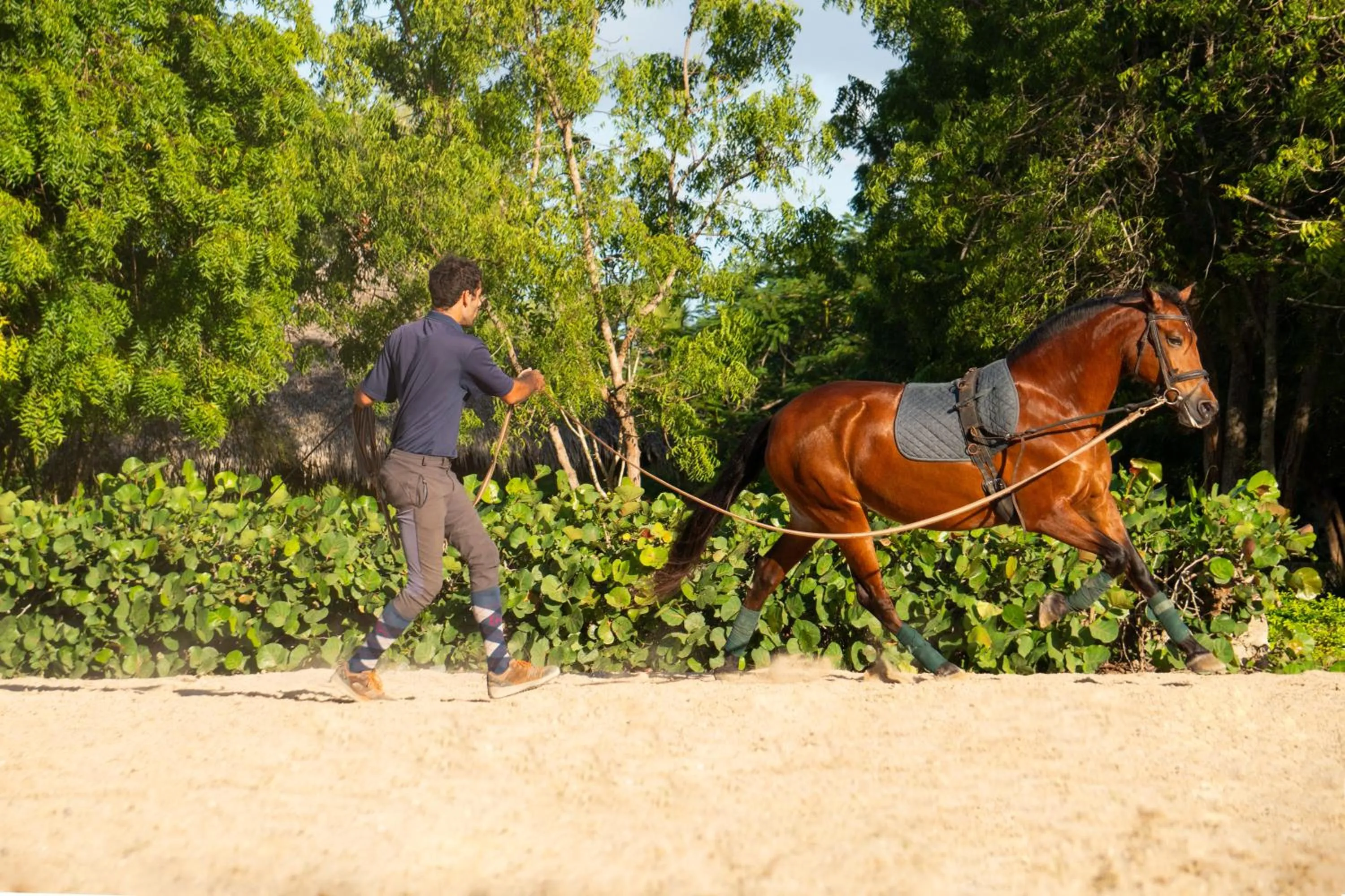 Horse-riding in Hotel Casa Hemingway