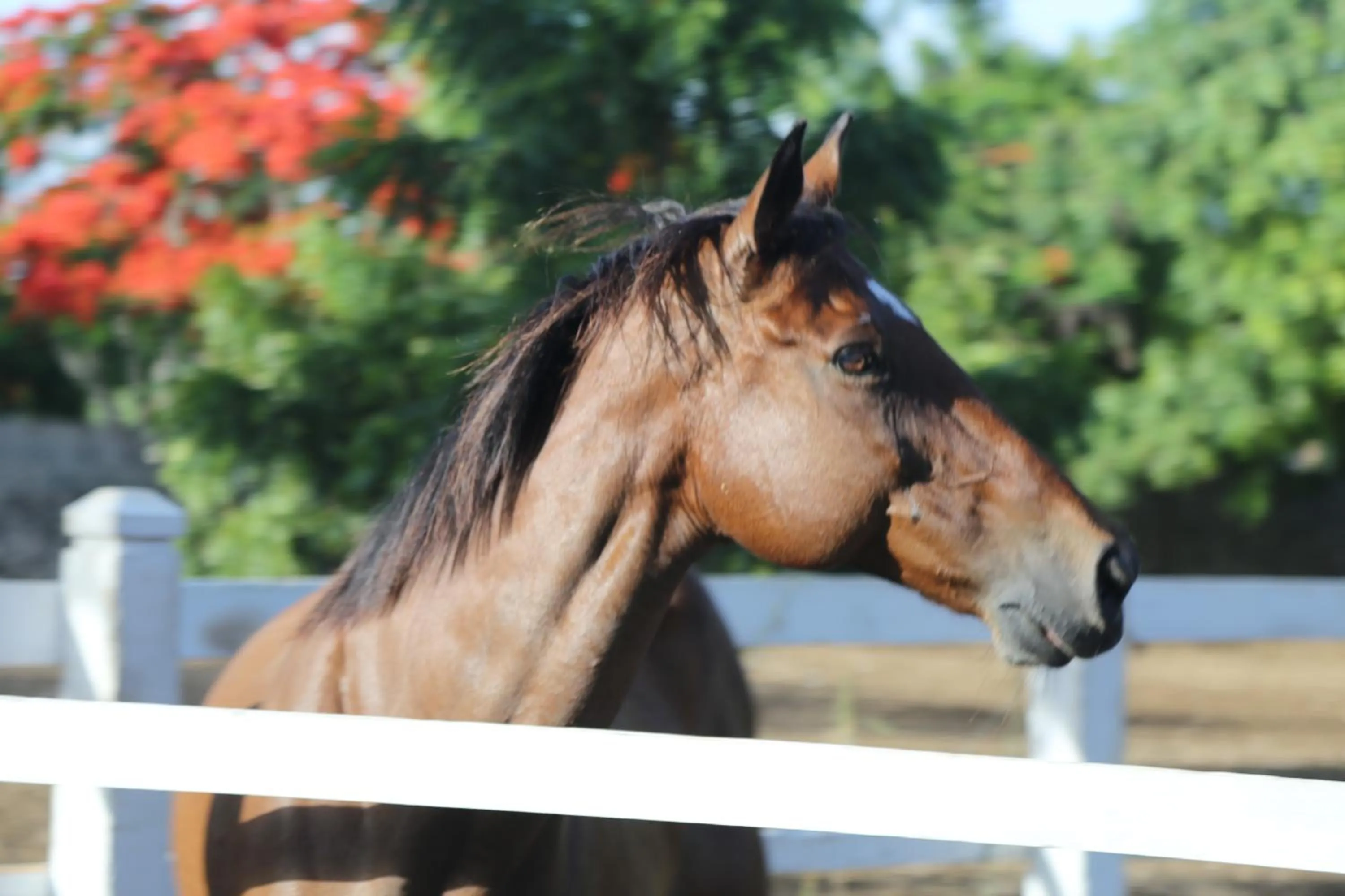 Activities in Hotel Casa Hemingway