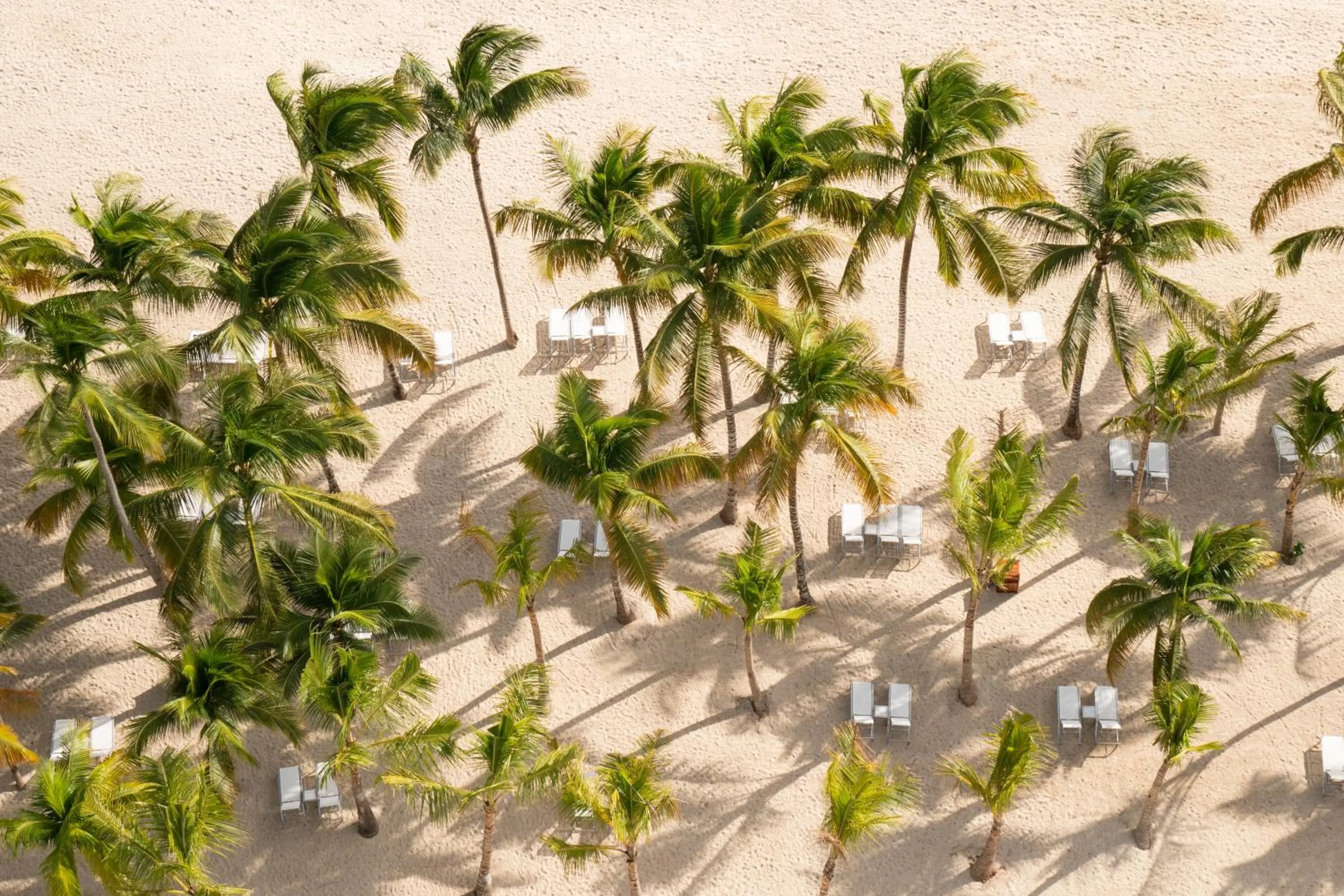 Beach in Hotel Casa Hemingway