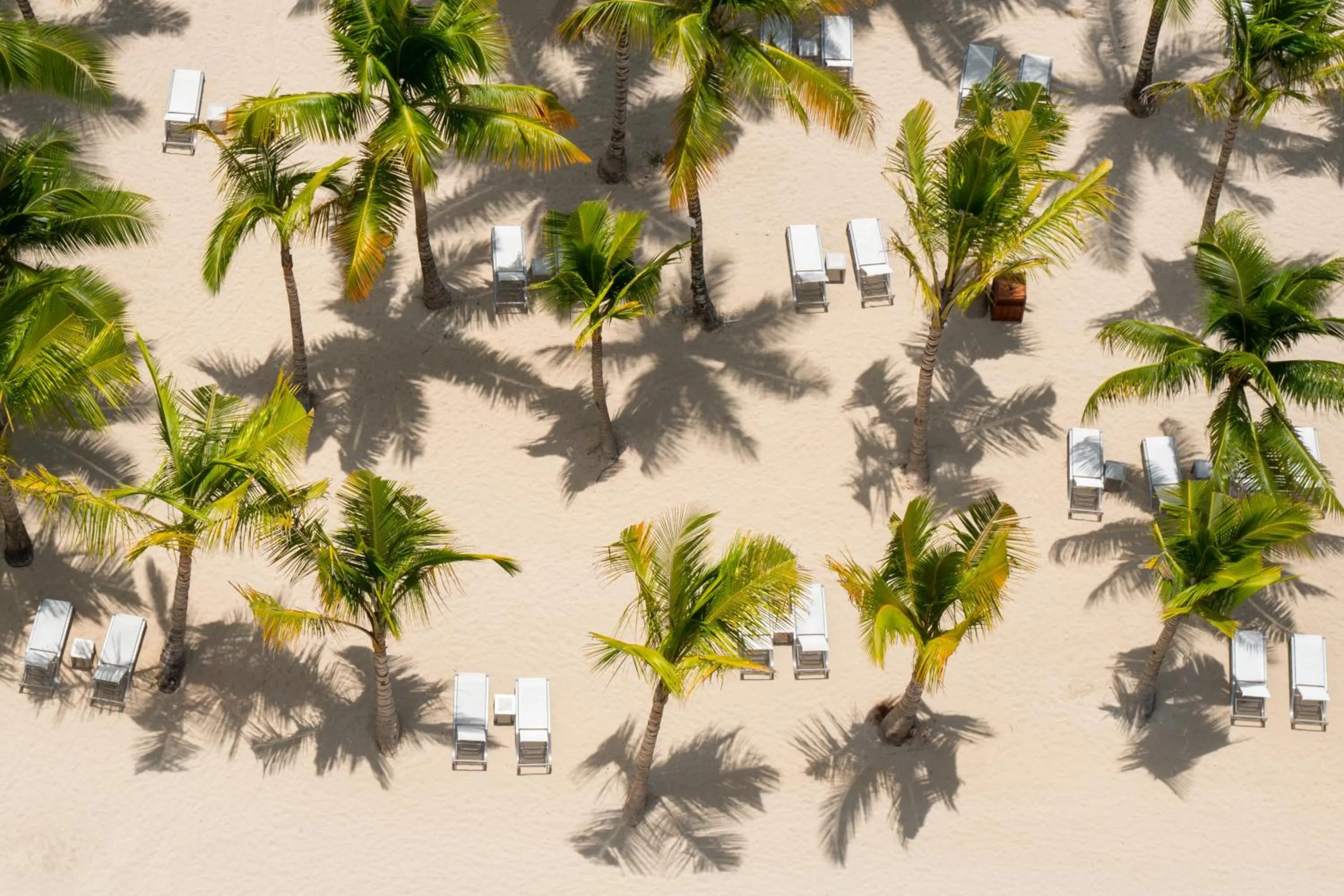 Beach in Hotel Casa Hemingway