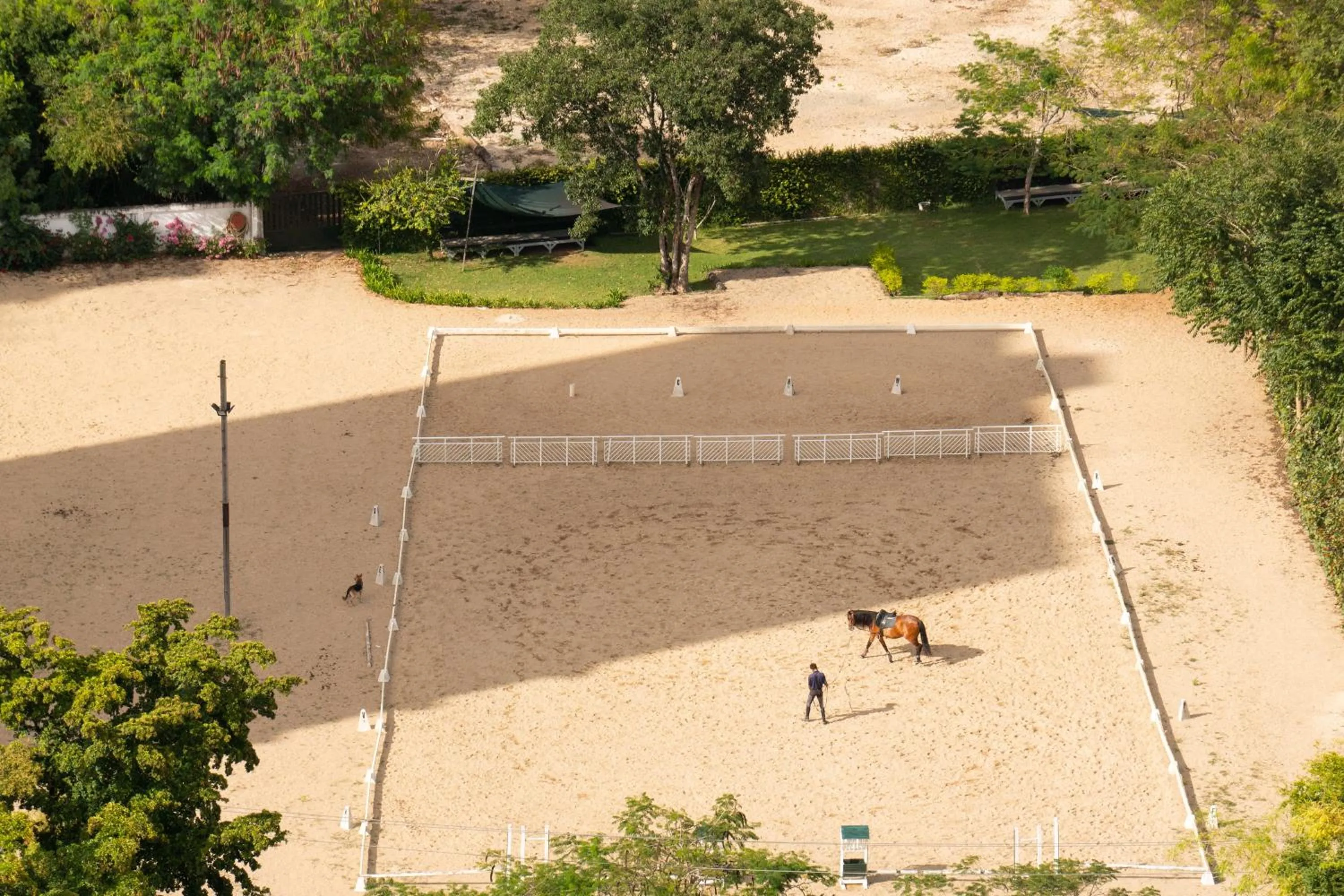 Horse-riding in Hotel Casa Hemingway